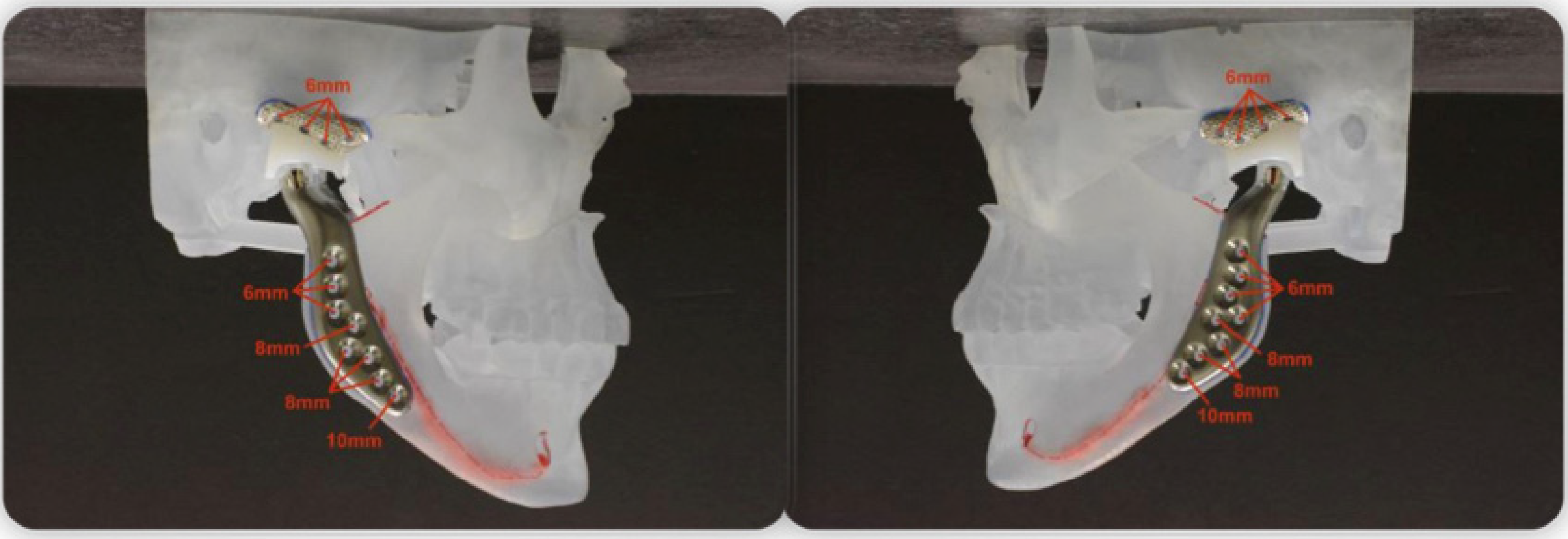 Medicina 58 00738 g001