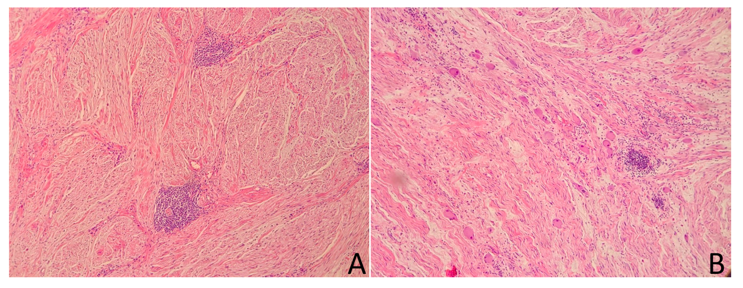 Medicina 58 00746 g011