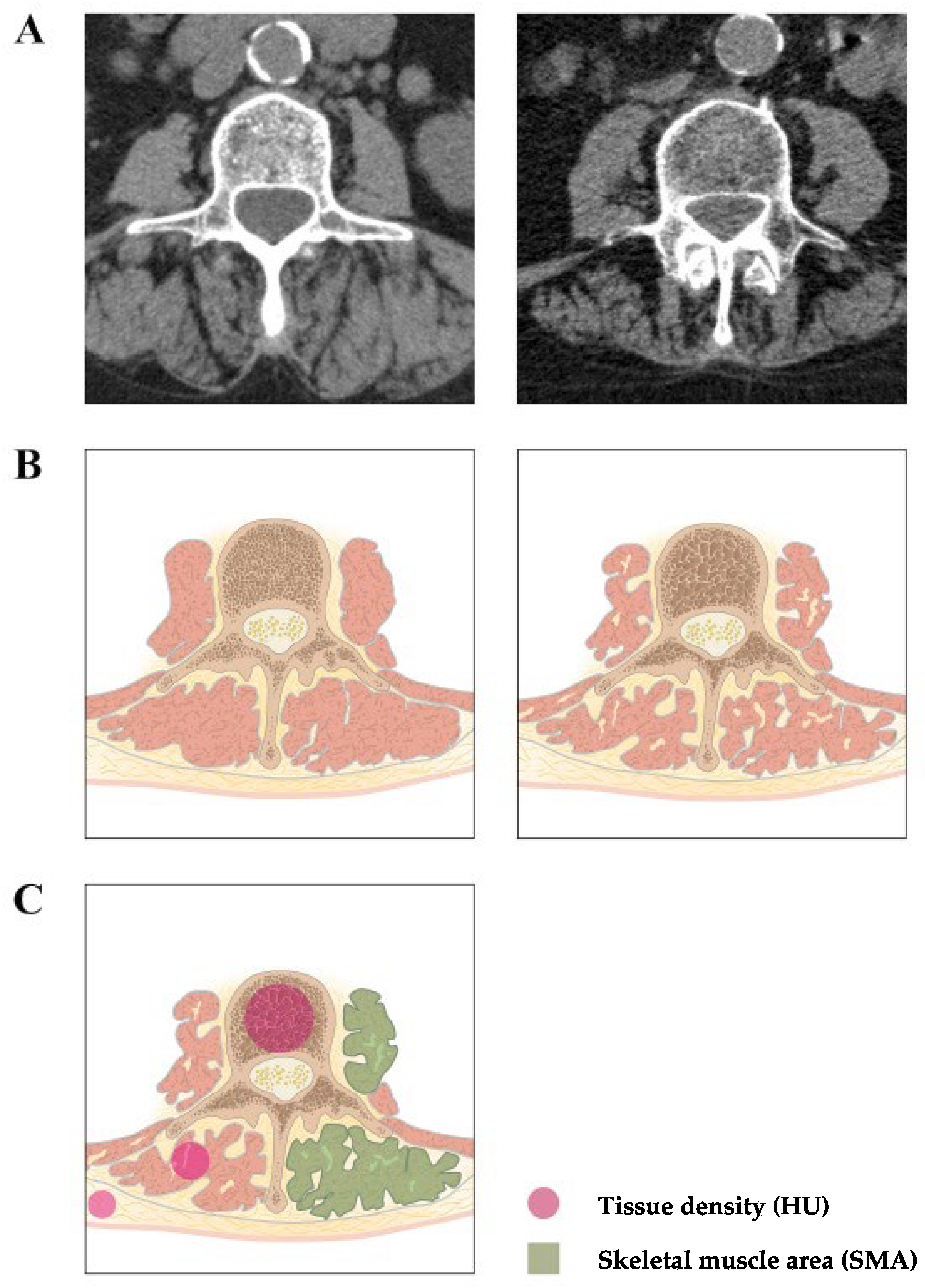 Medicina 58 00748 g001