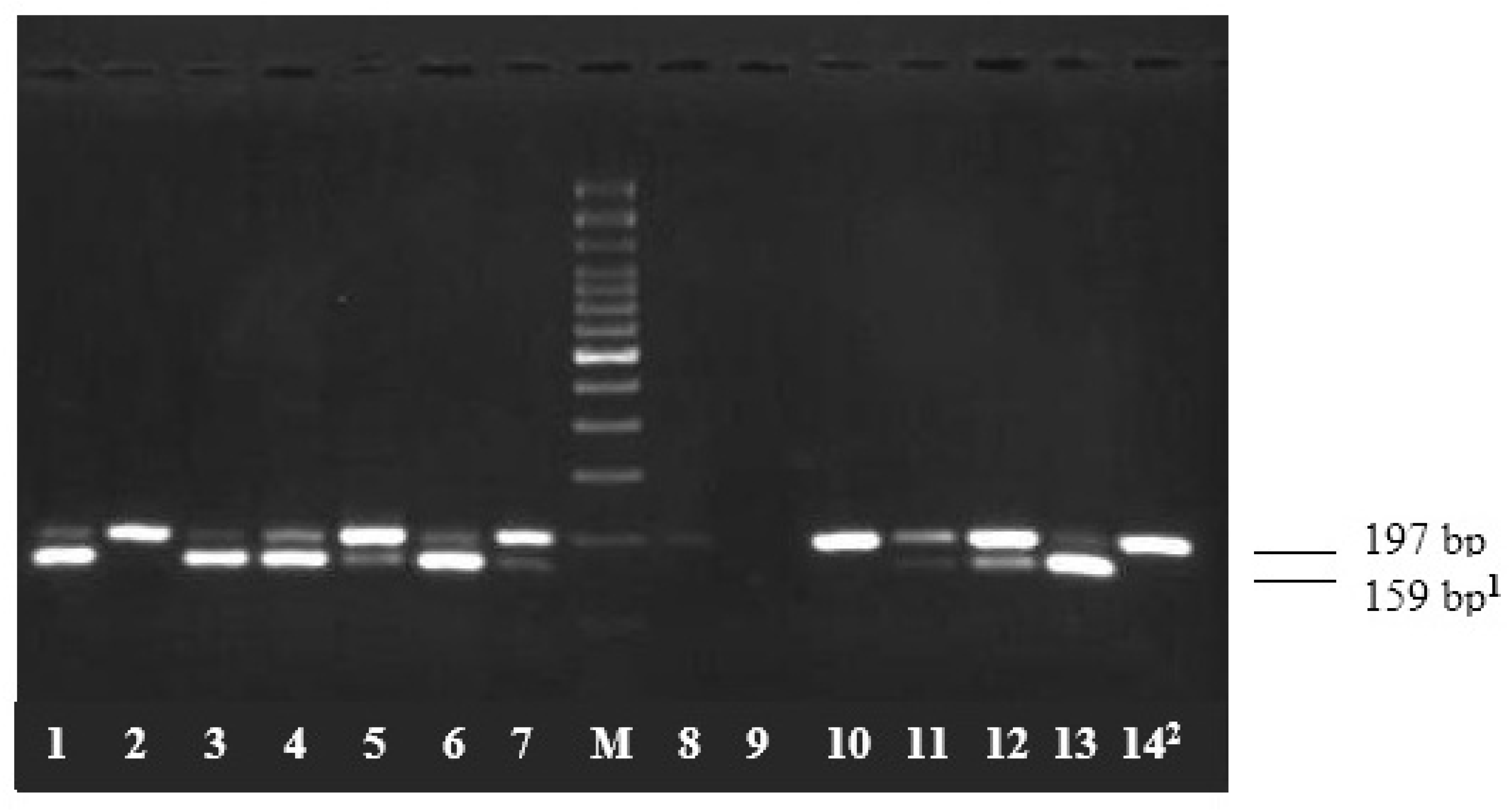 Medicina 58 00750 g001 550