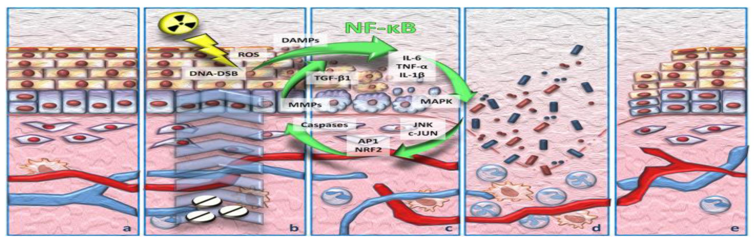 Medicina 58 00751 g001