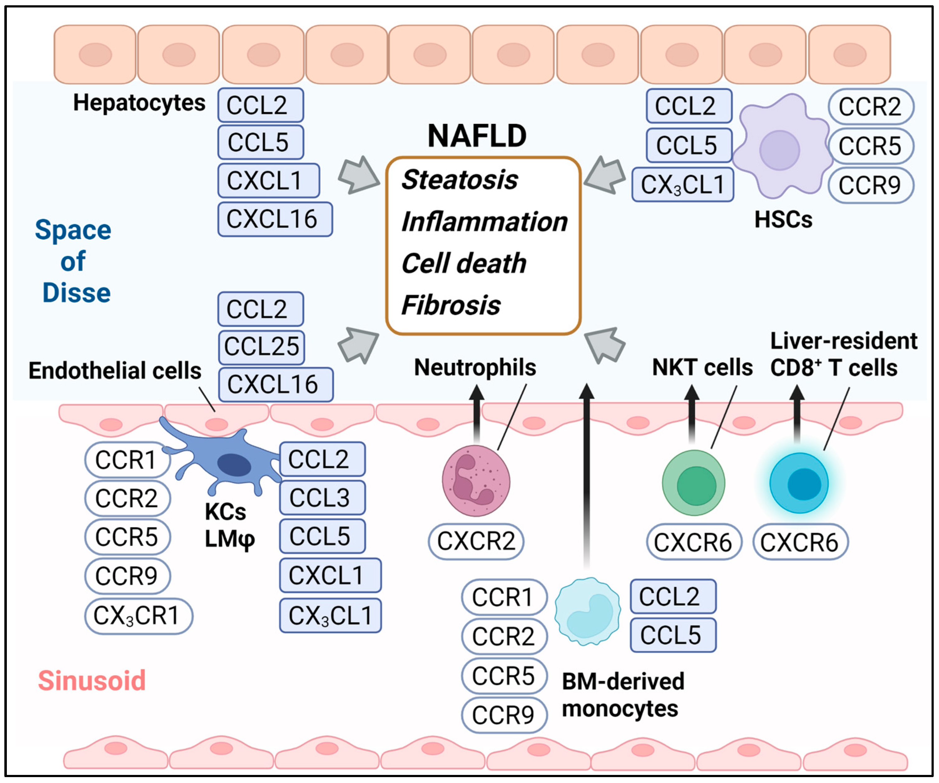 Medicina 58 00761 g001 Medicina 58 00761 g001