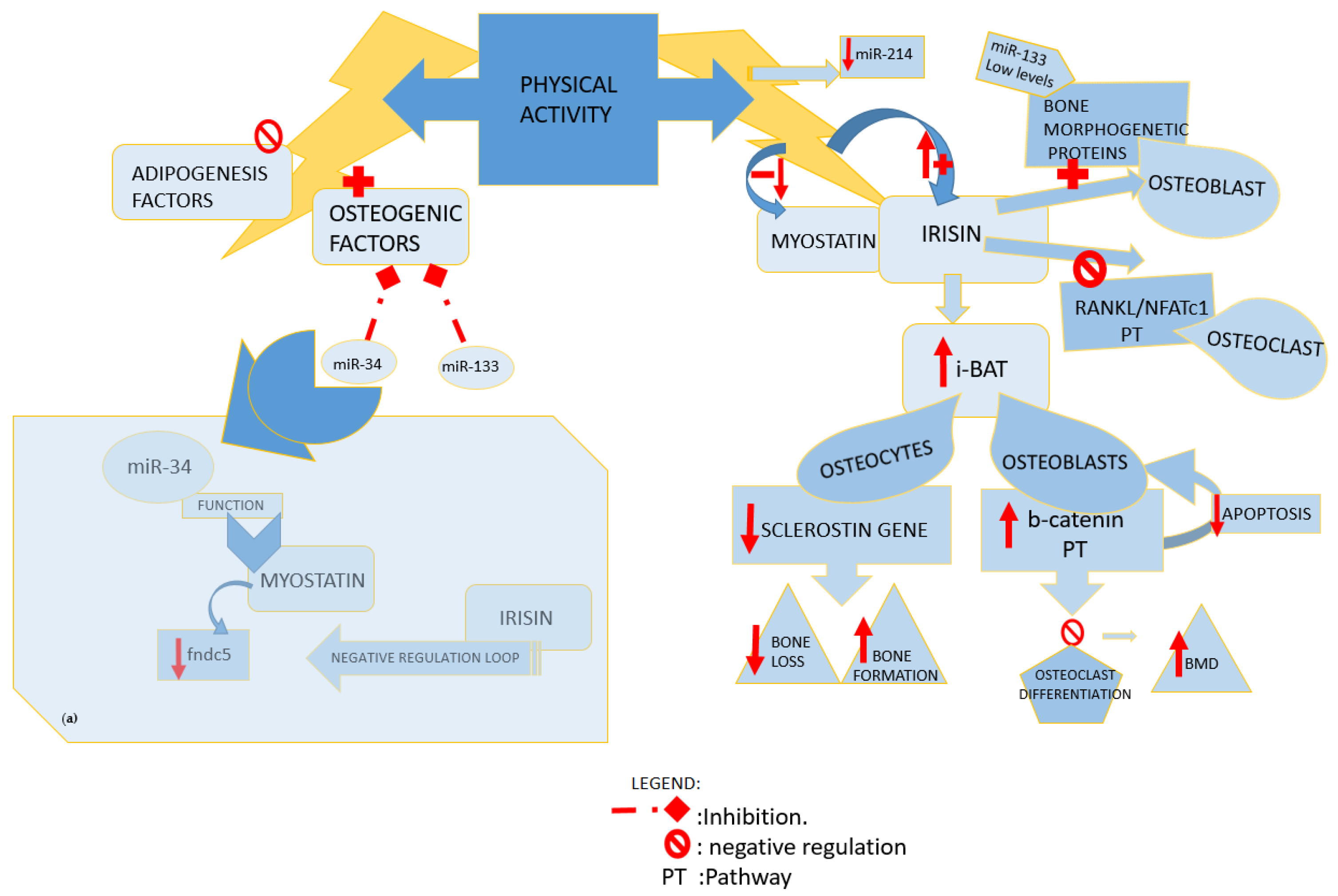 Medicina 58 00767 g002