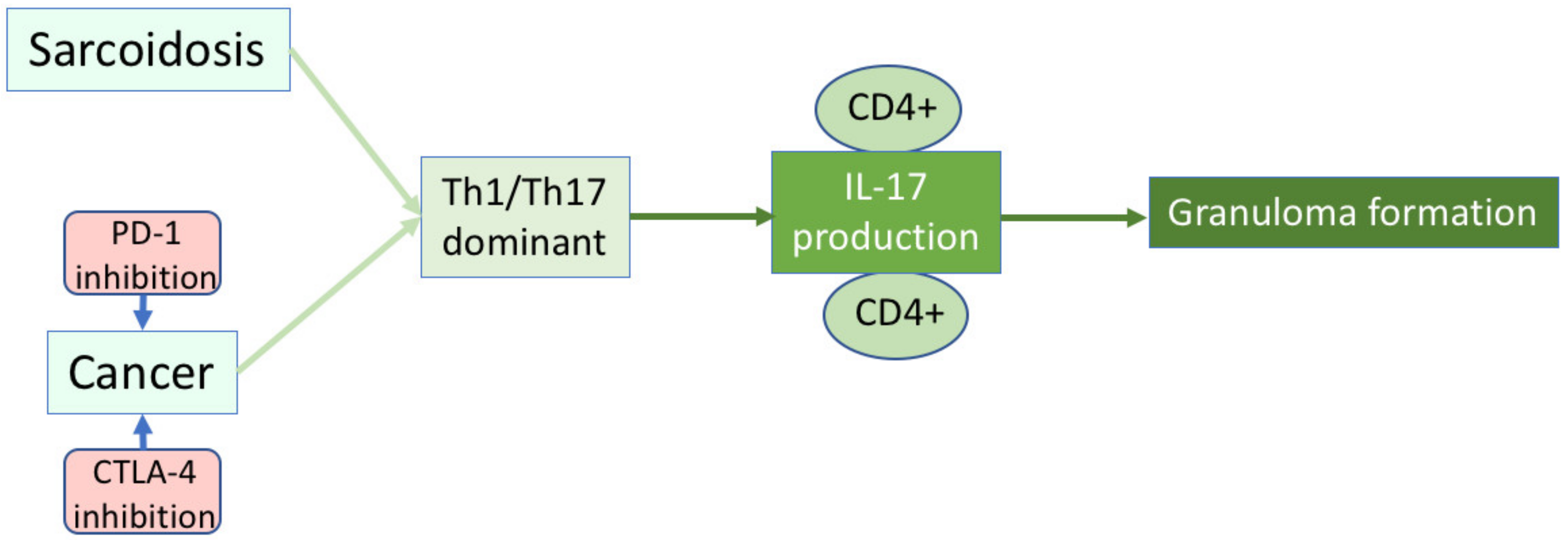 Medicina 58 00768 g001