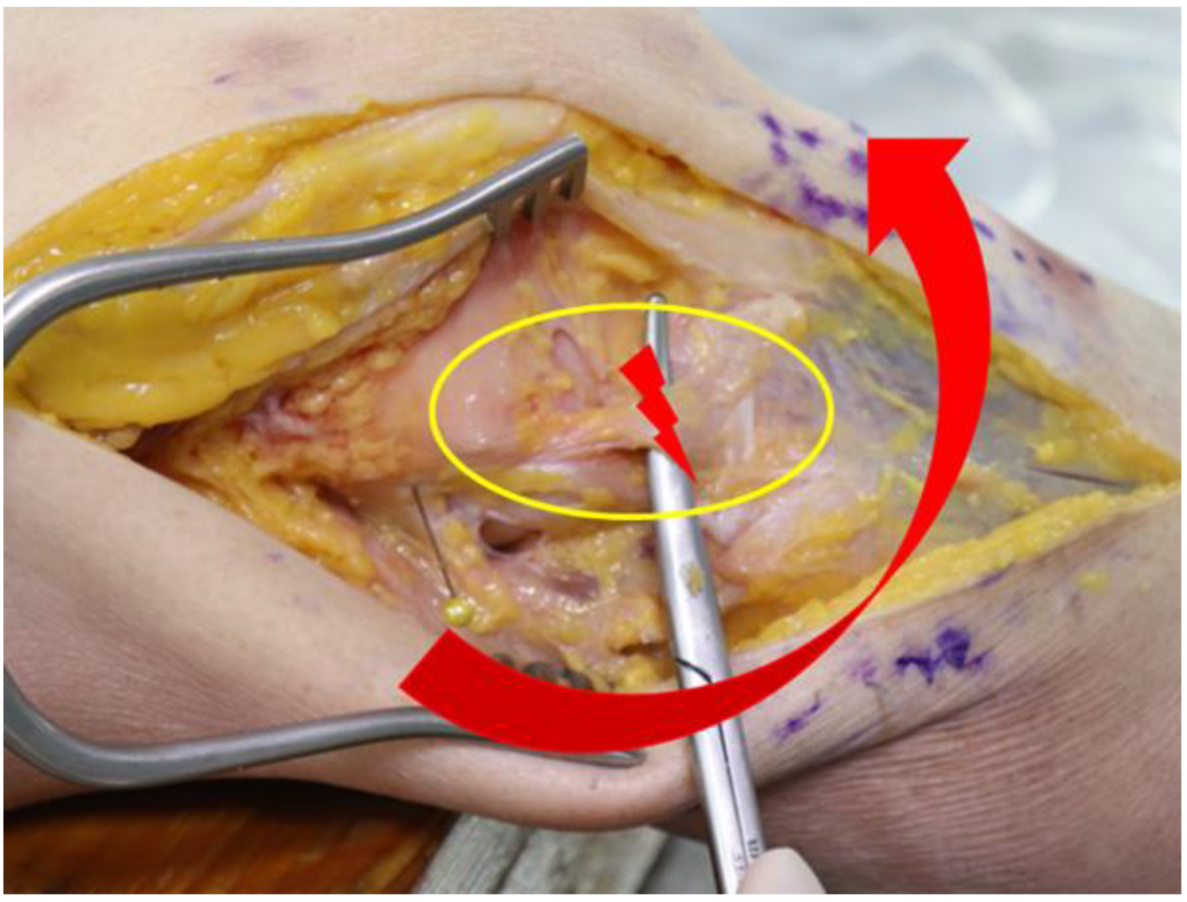 Medicina 58 00786 g002