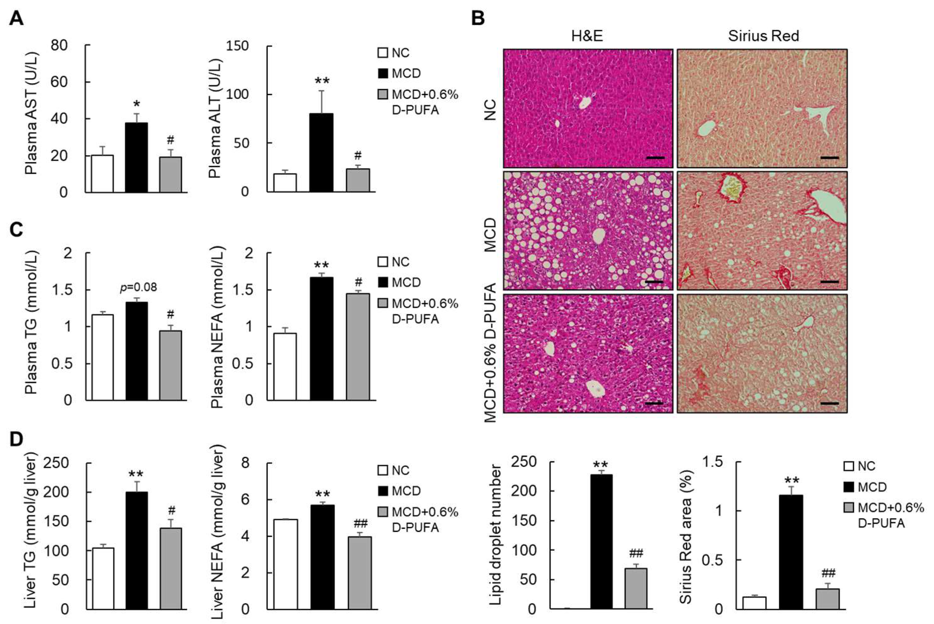 Medicina 58 00790 g003 550