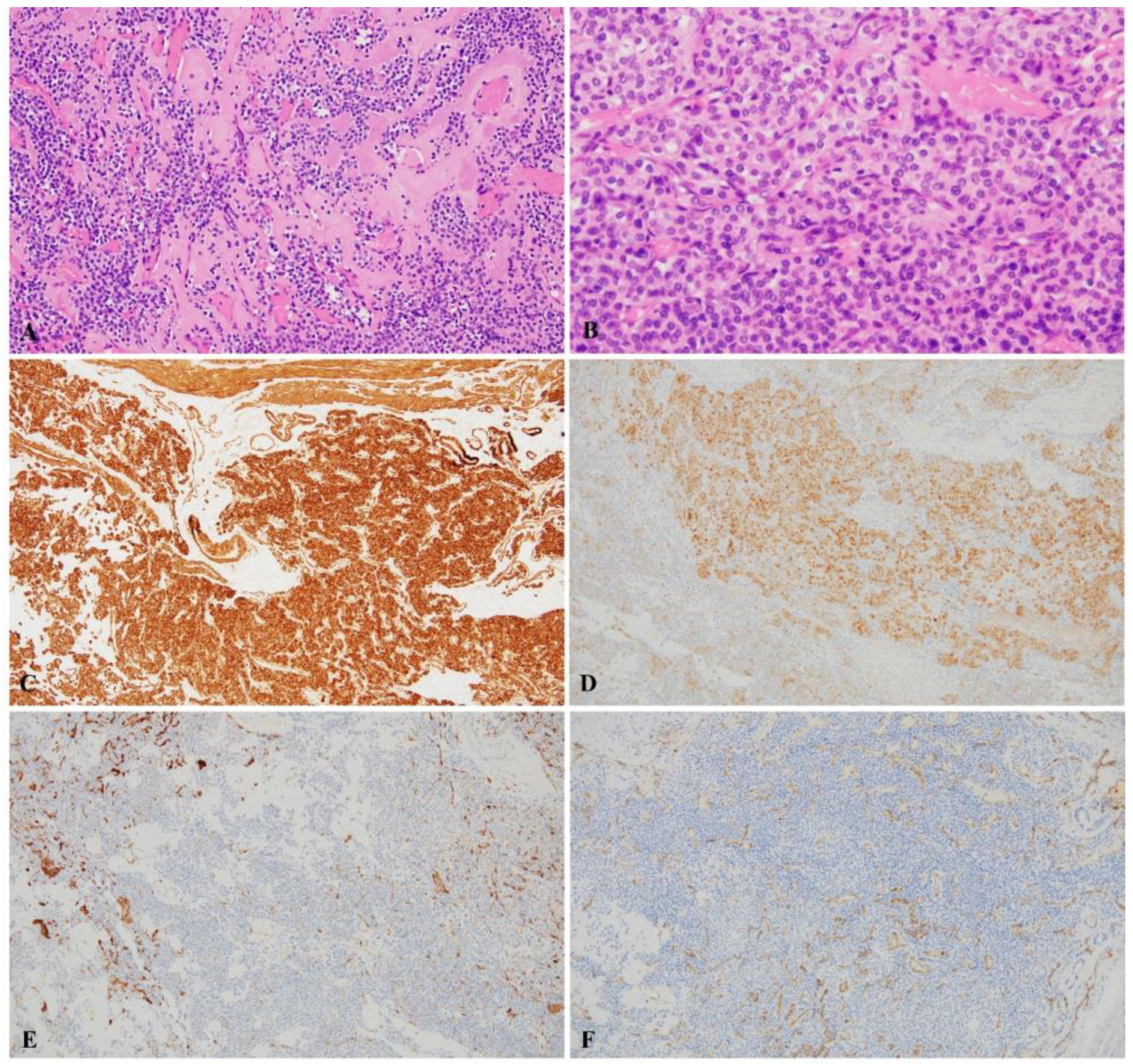 Medicina 58 00791 g003