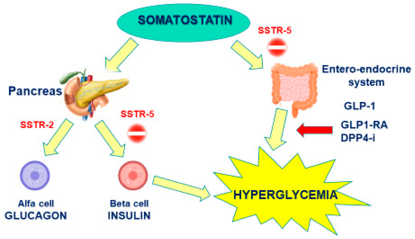 Medicina 58 00794 g001 550