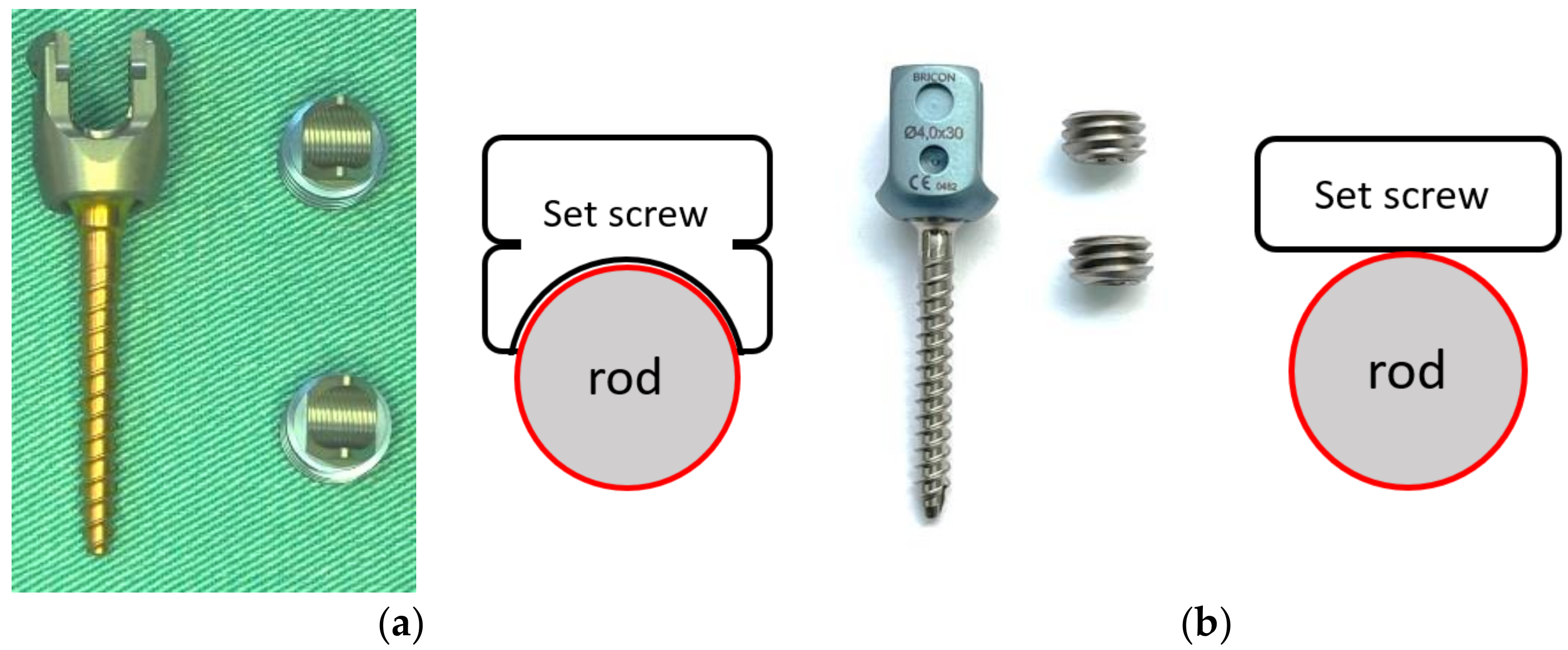 Medicina 58 00808 g001