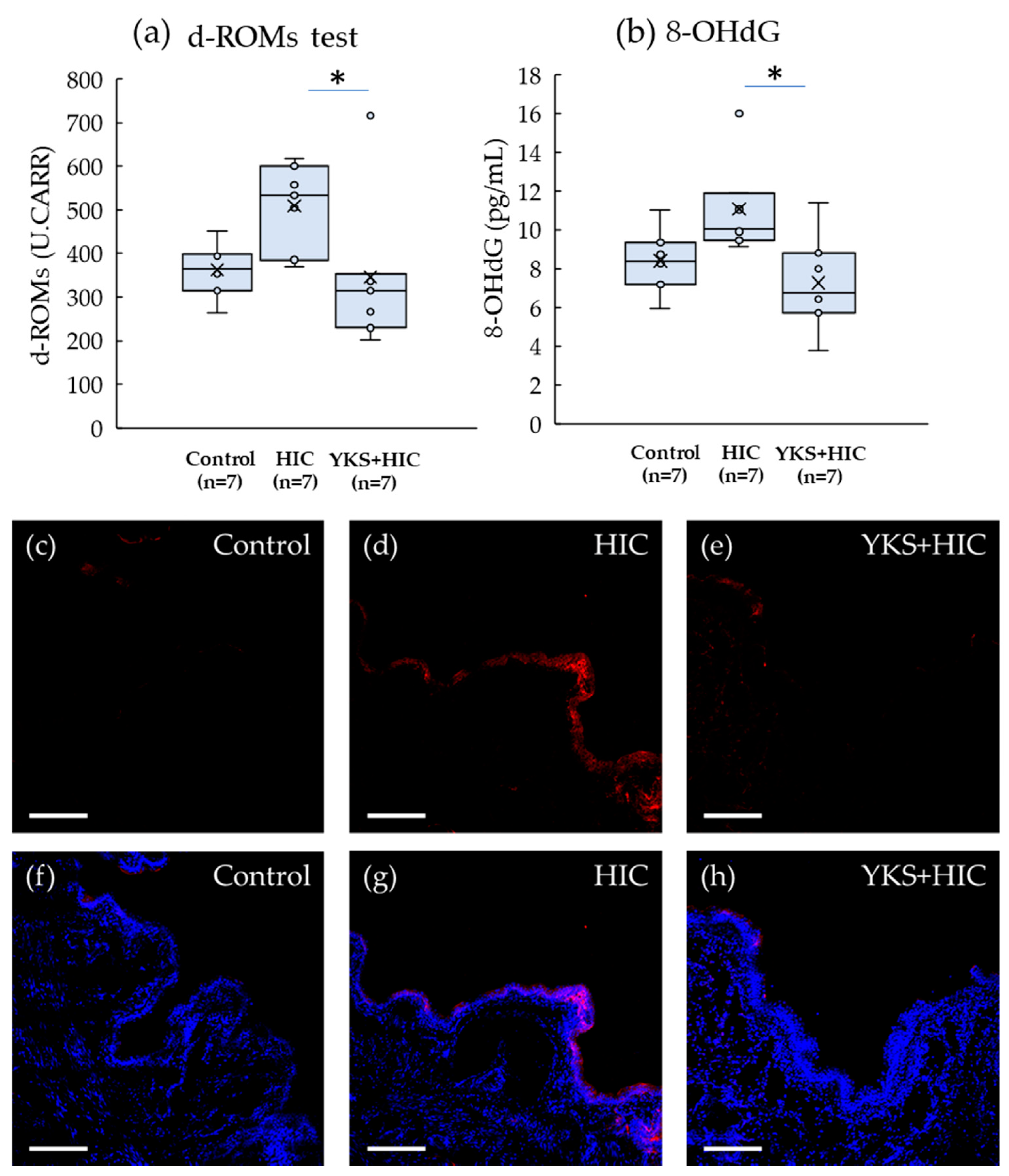 Medicina 58 00810 g005
