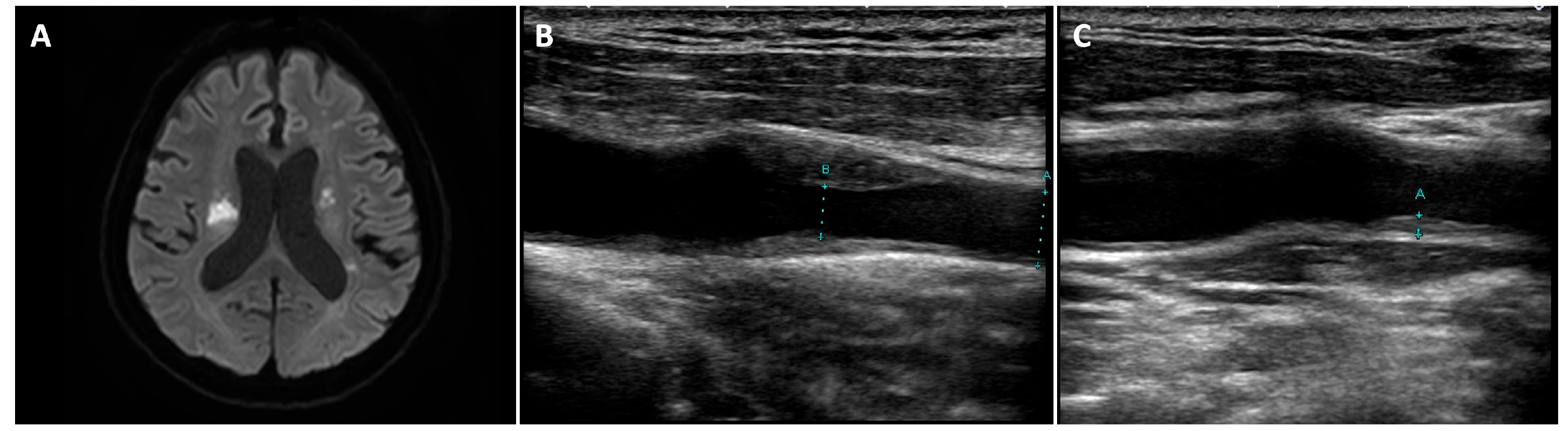 Medicina 58 00815 g001
