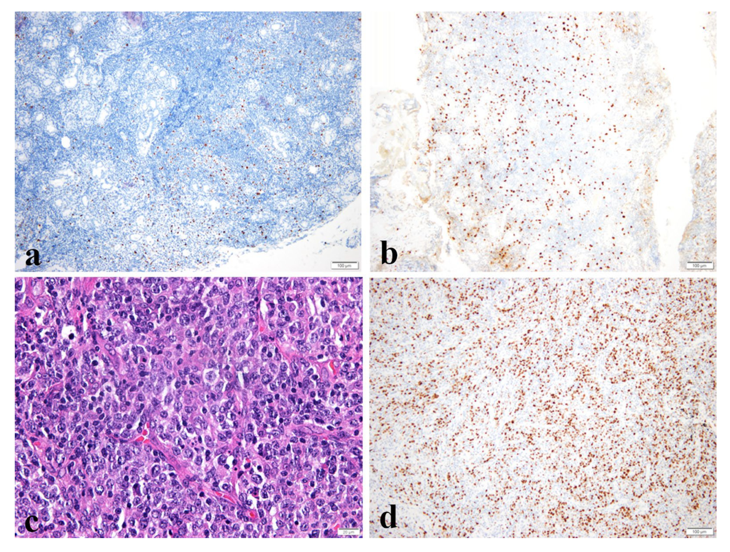 Medicina 58 00818 g002