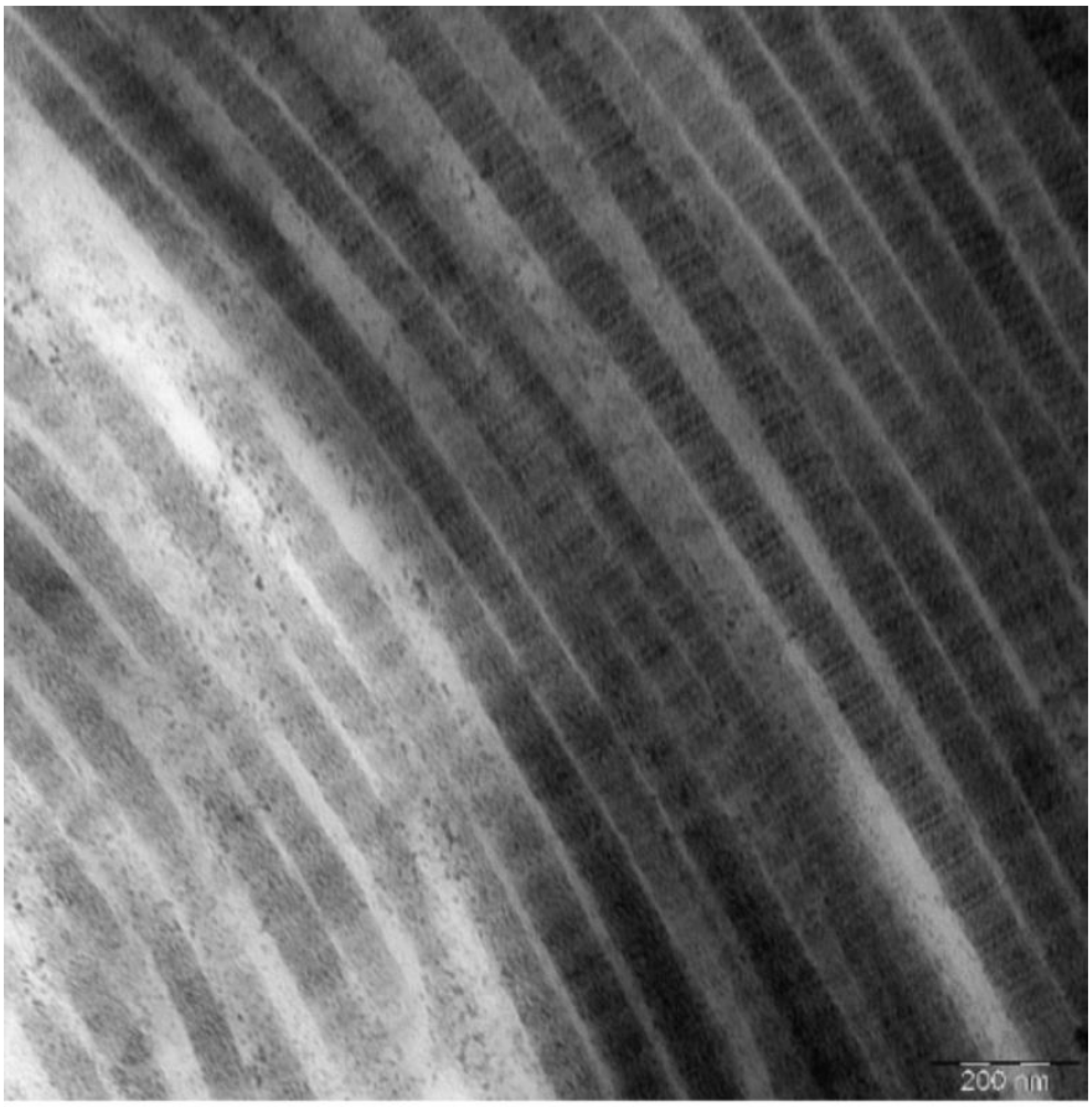 Medicina 58 00819 g003 550