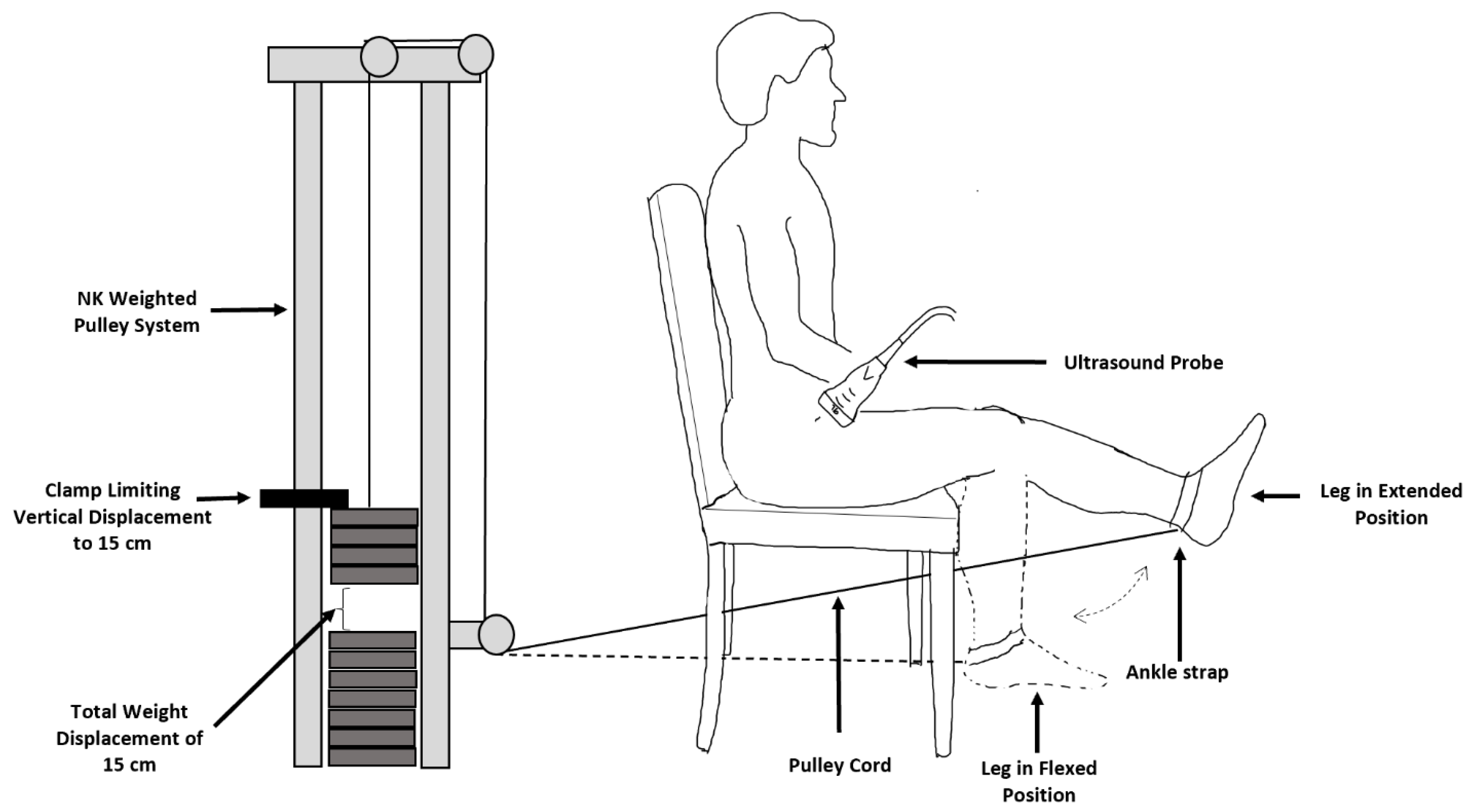 Medicina 58 00822 g001 550