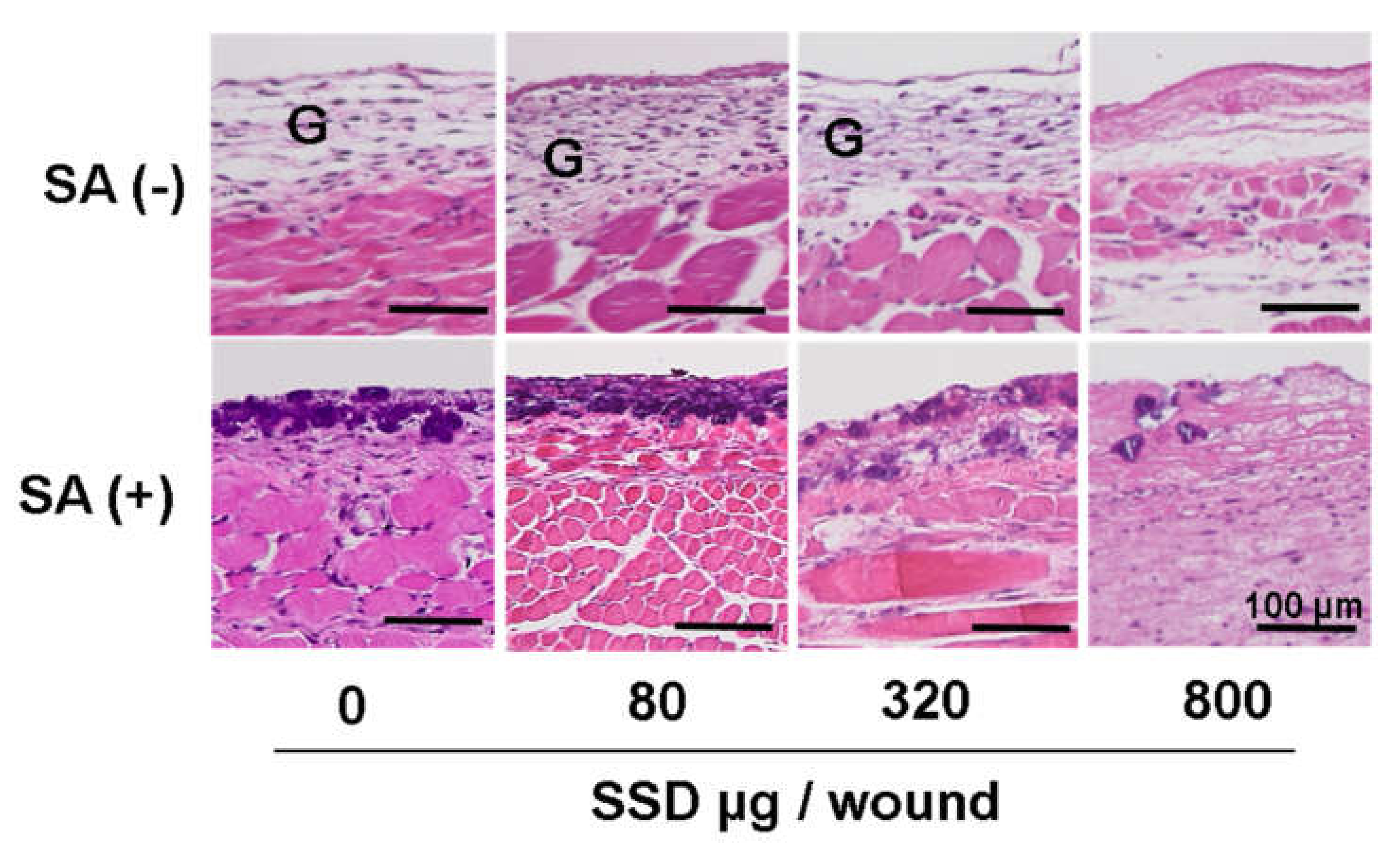 Medicina 58 00835 g008