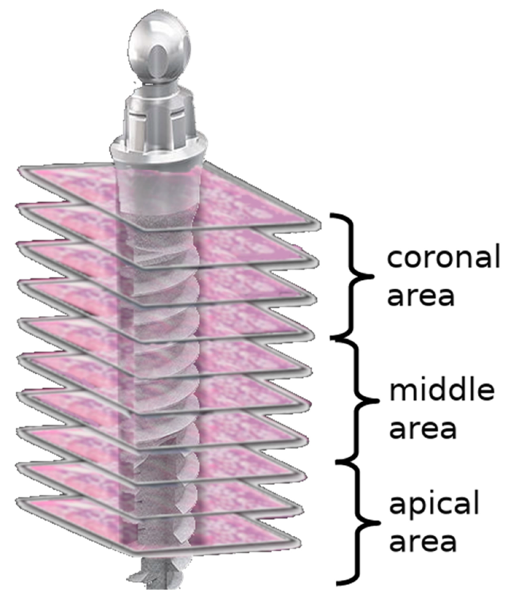 Medicina 58 00849 g002