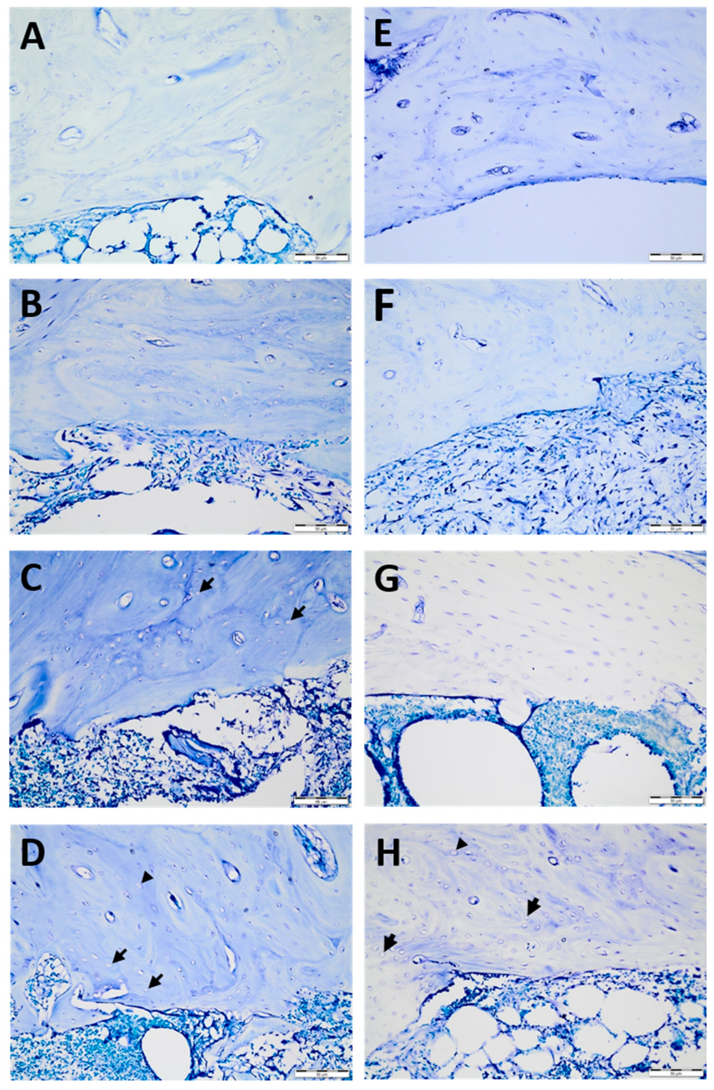 Medicina 58 00849 g003