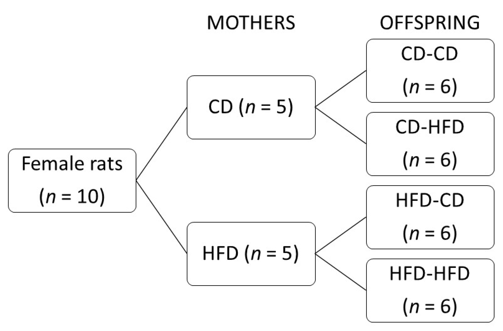 Medicina 58 00854 g001