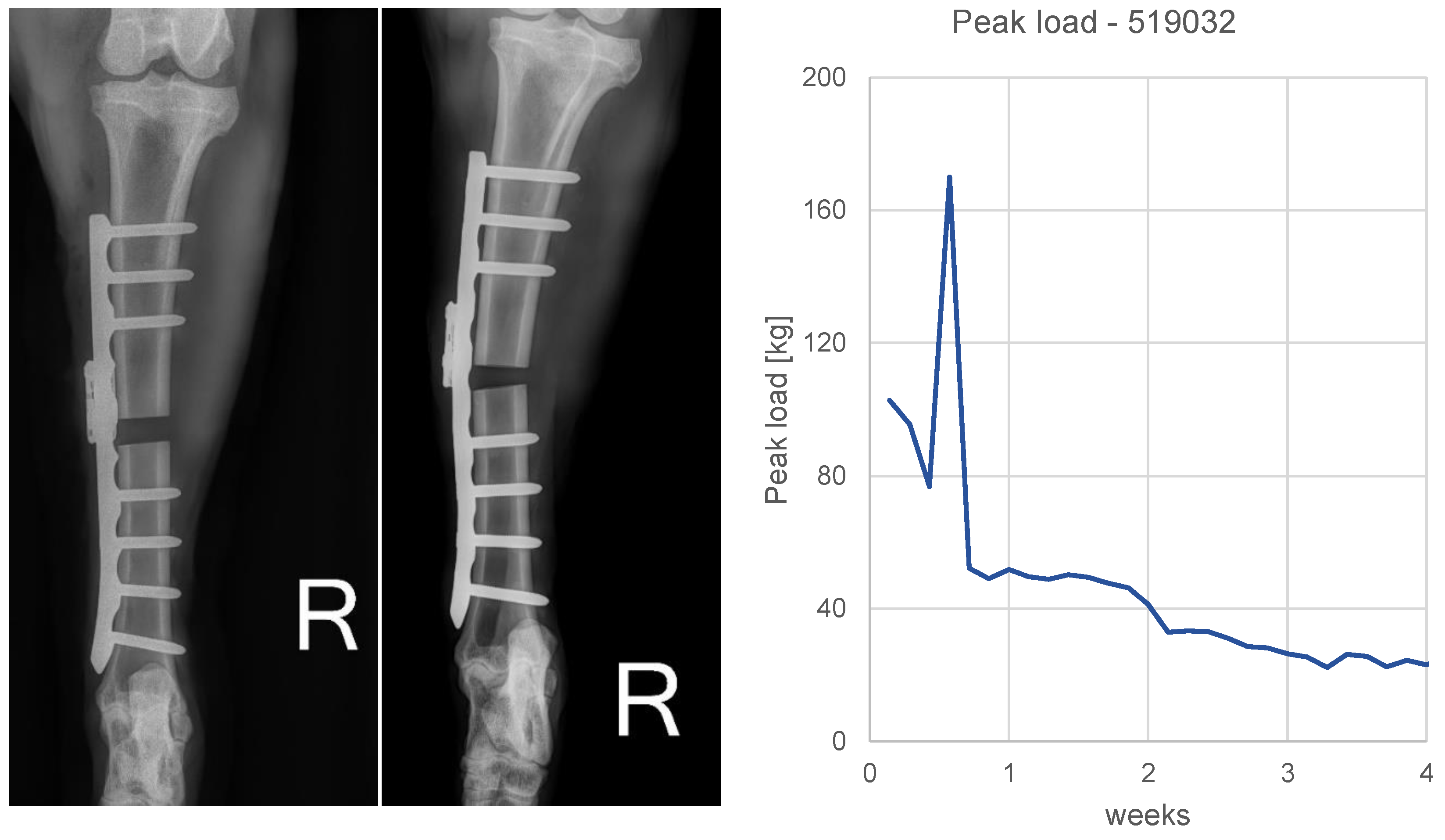 Medicina 58 00858 g008 550