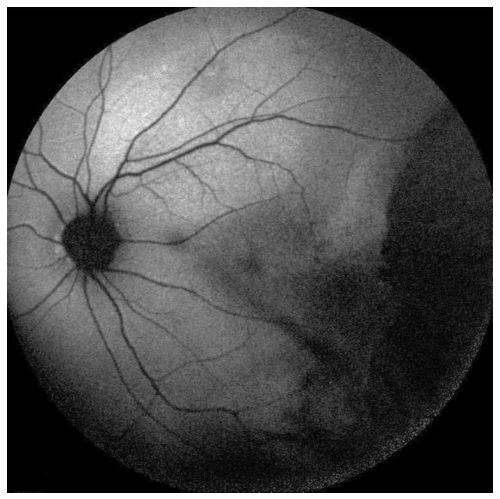 Medicina 58 00862 g006