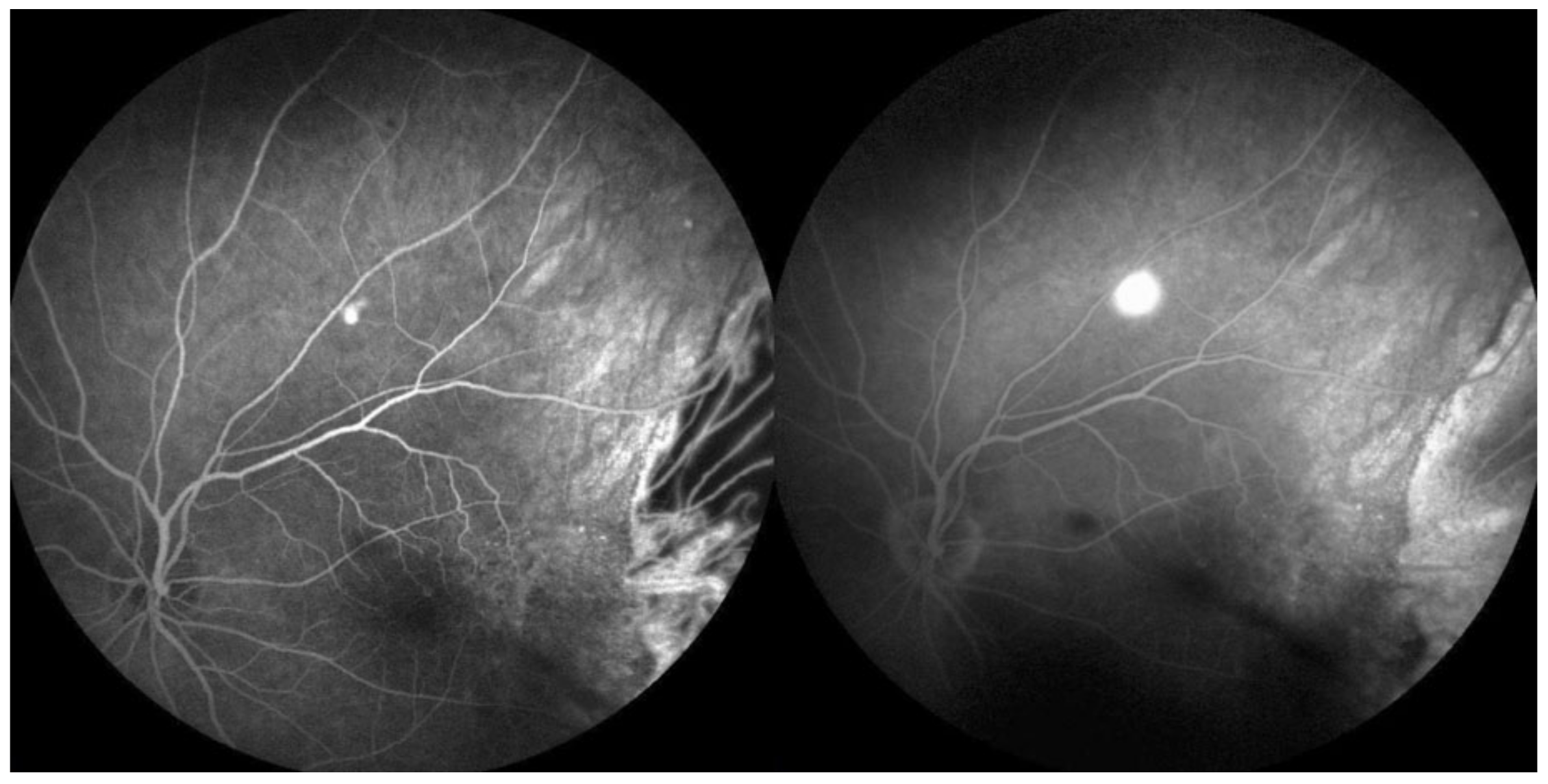 Medicina 58 00862 g007