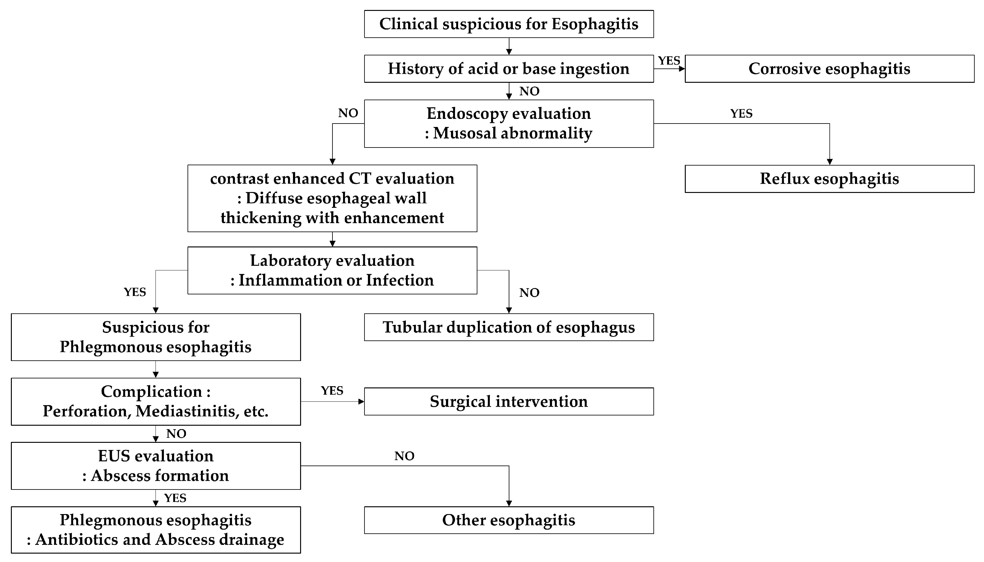 Medicina 58 00864 g008 Medicina 58 00864 g008