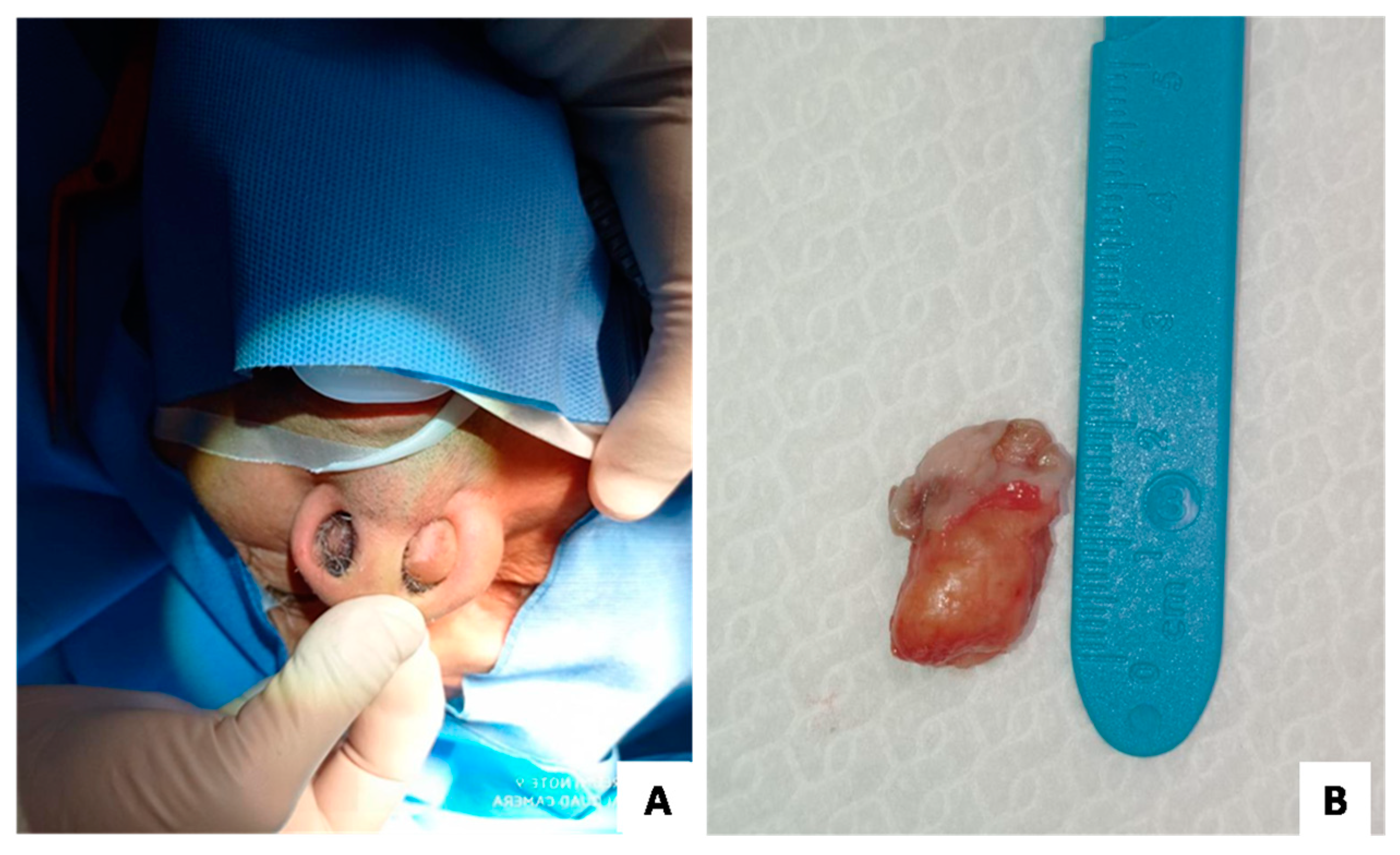 Medicina 58 00865 g001