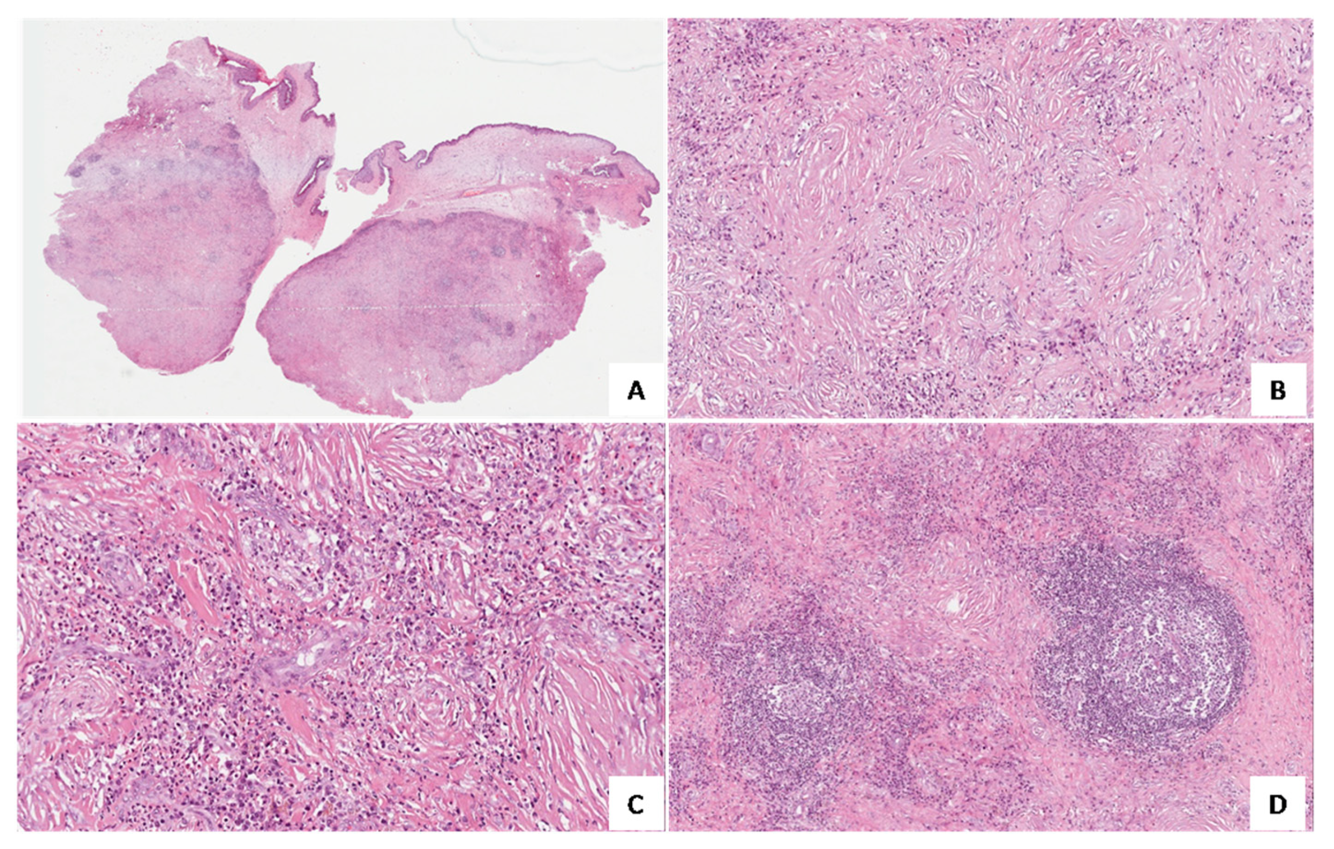 Medicina 58 00865 g002