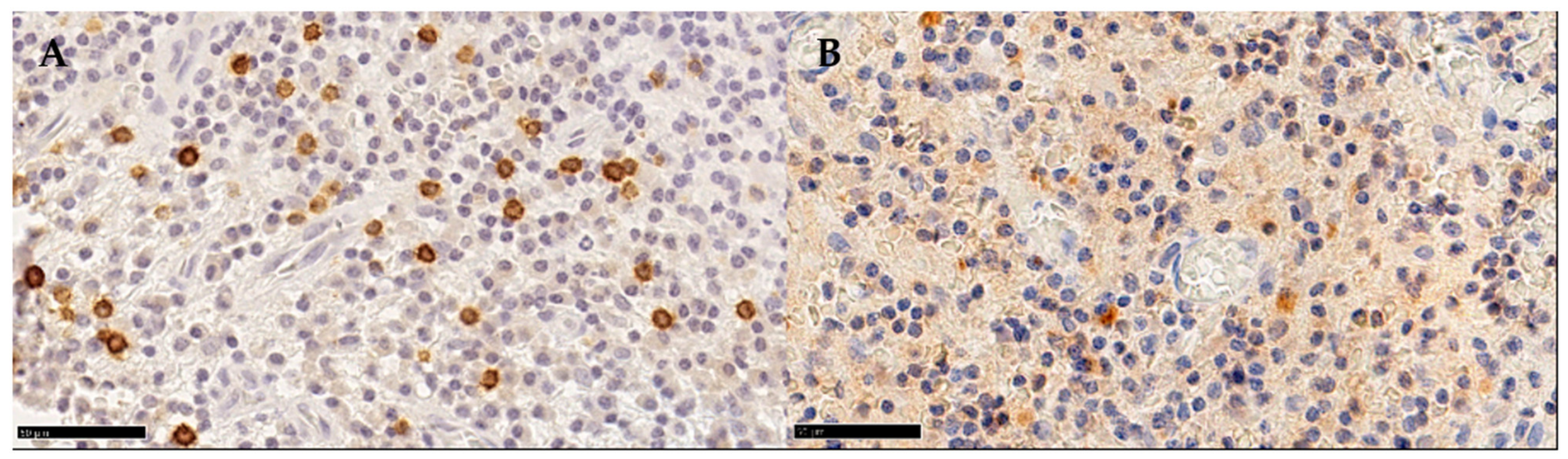 Medicina 58 00867 g001 550