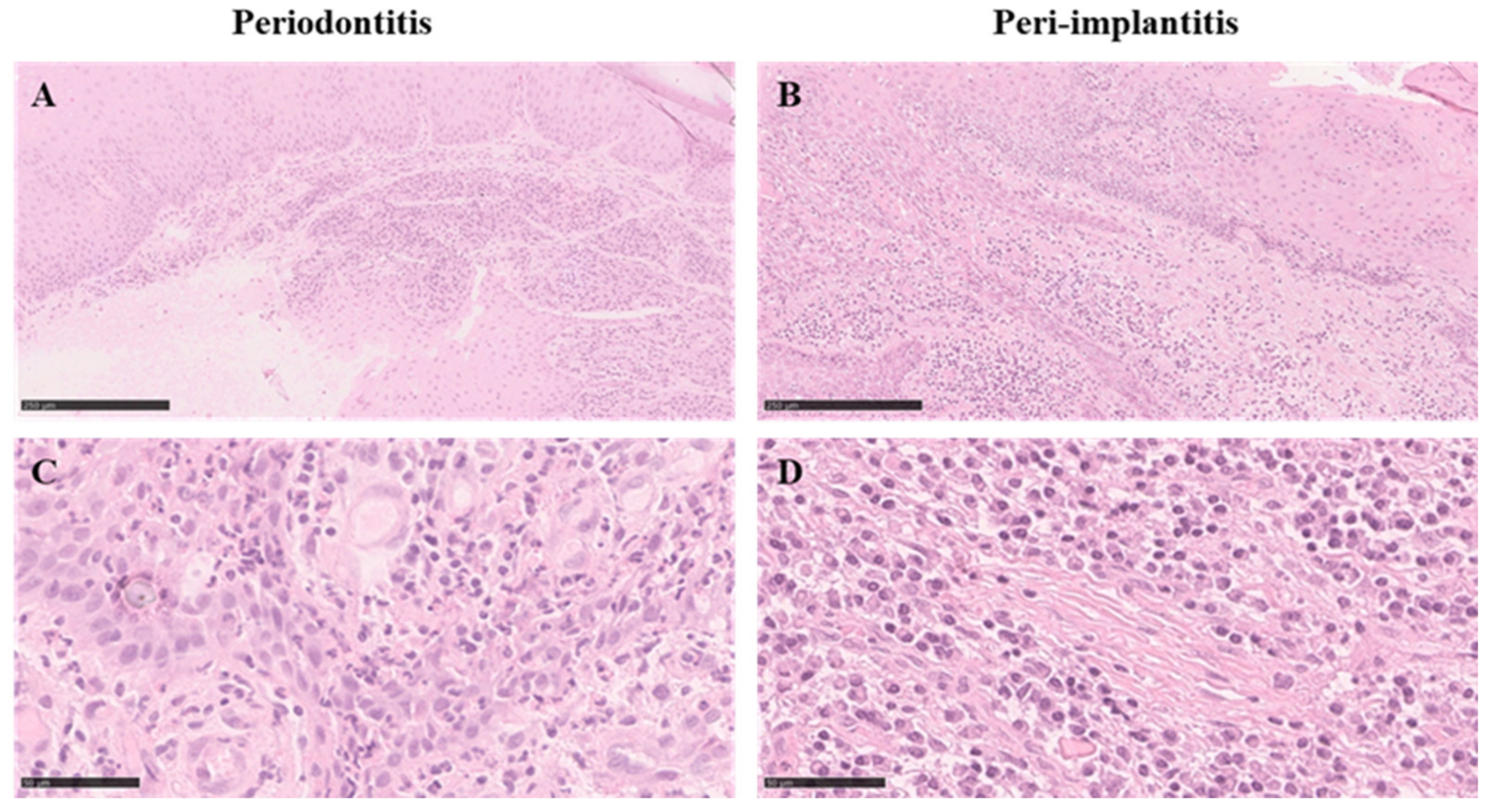 Medicina 58 00867 g003 550