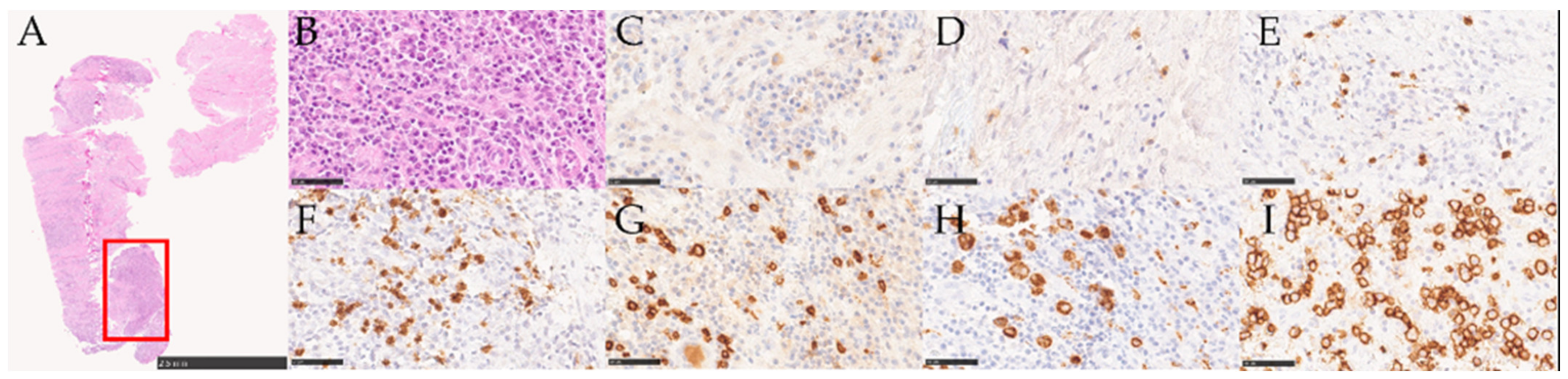 Medicina 58 00867 g004 550