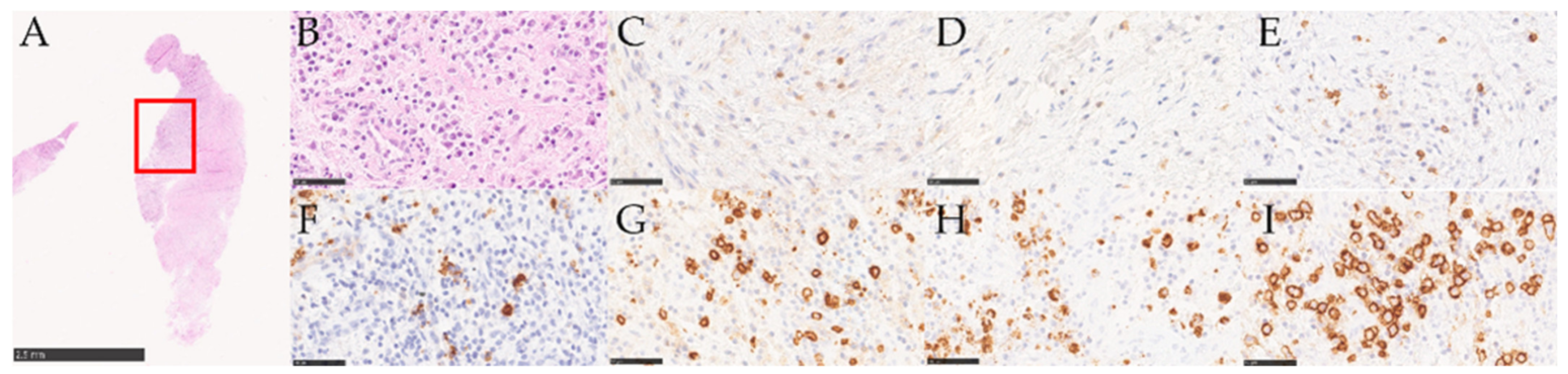 Medicina 58 00867 g005 550