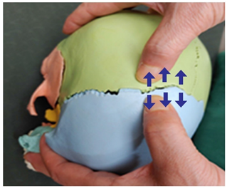 Medicina 58 00869 i001