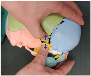 Medicina 58 00869 i007