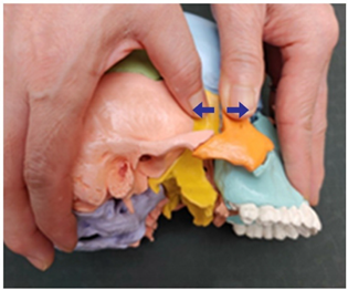 Medicina 58 00869 i011