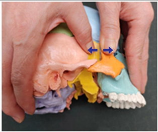 Medicina 58 00869 i012