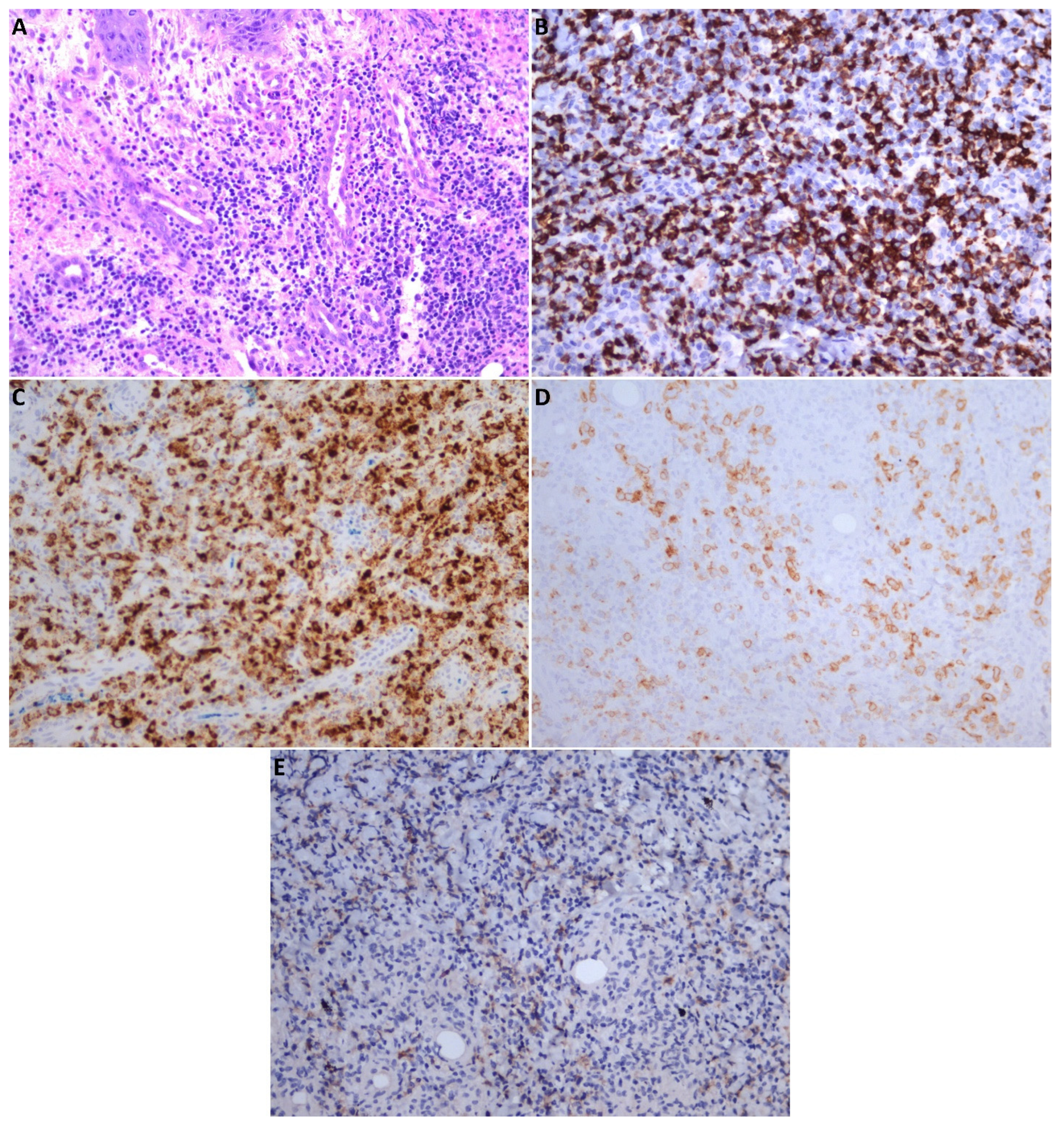 Medicina 58 00874 g004 550