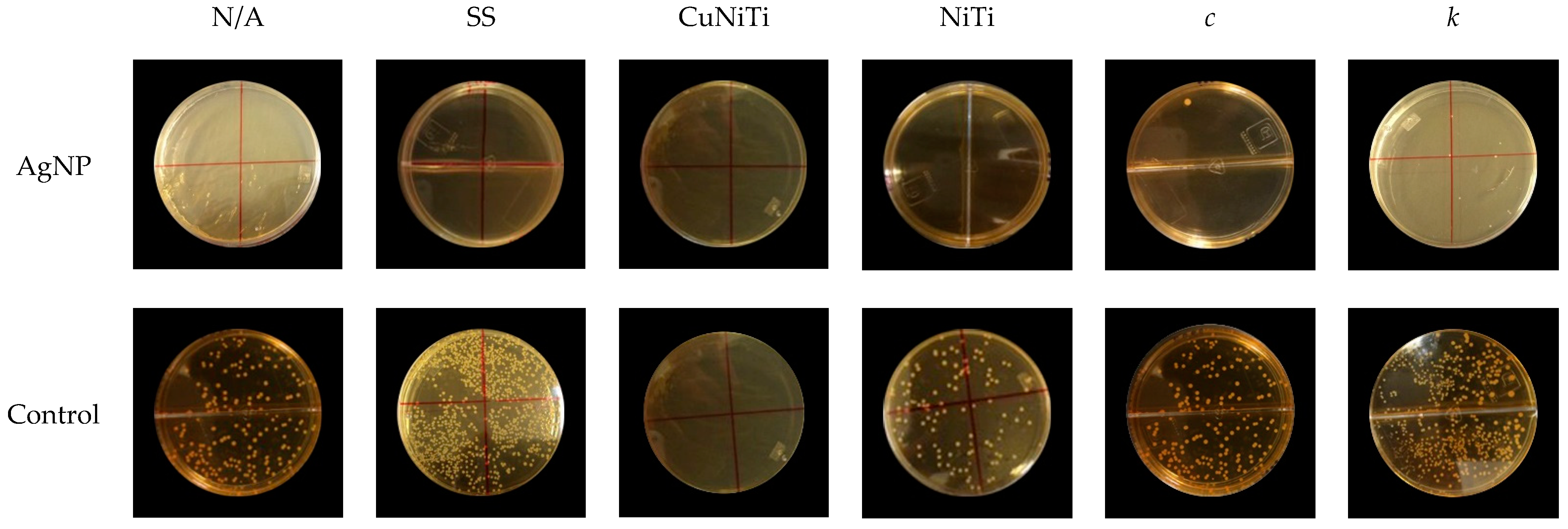 Medicina 58 00877 g004 Medicina 58 00877 g004