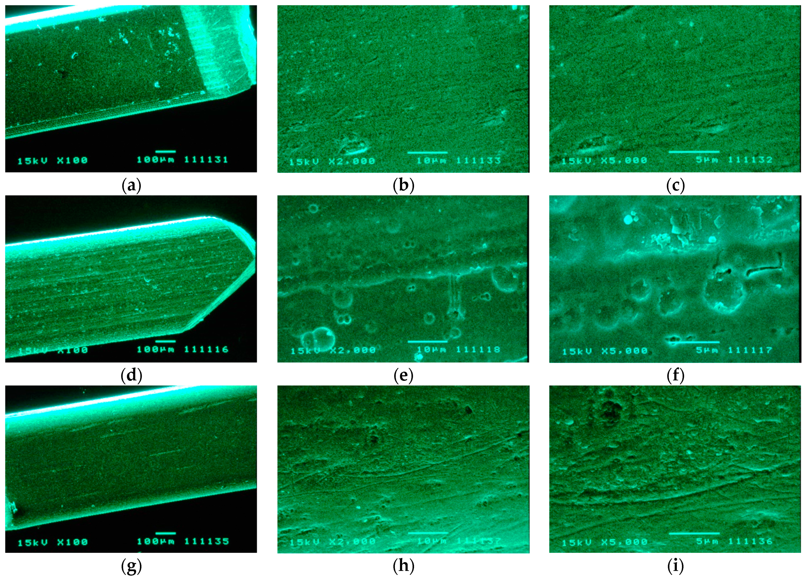 Medicina 58 00877 g005 Medicina 58 00877 g005