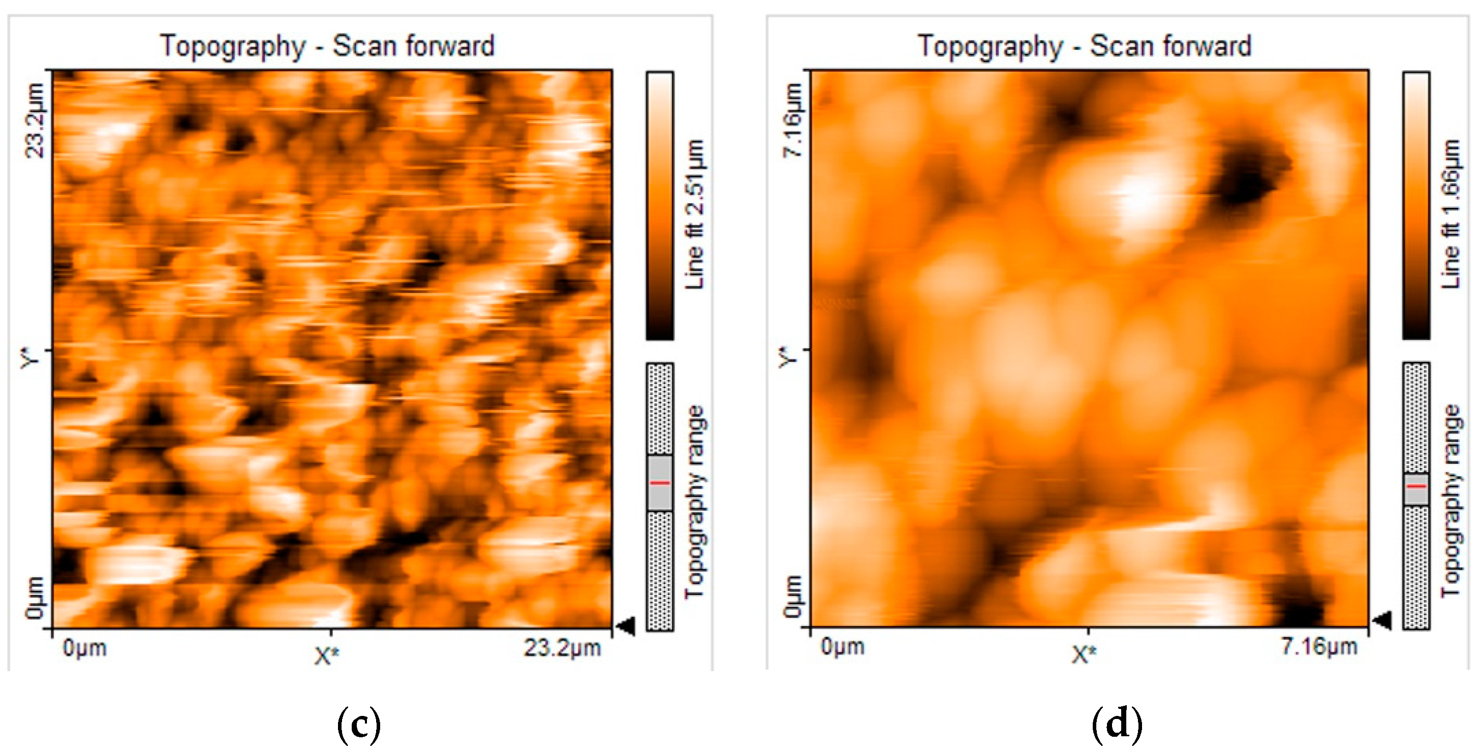 Medicina 58 00877 g006b Medicina 58 00877 g006b