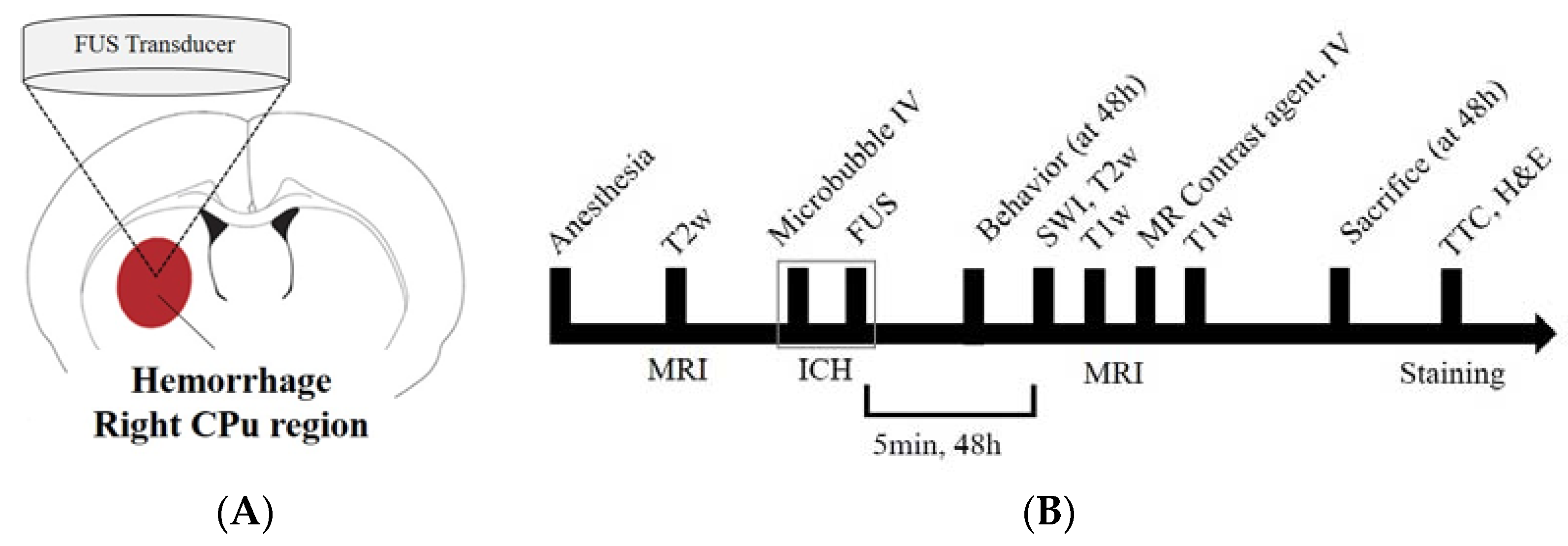 Medicina 58 00881 g001