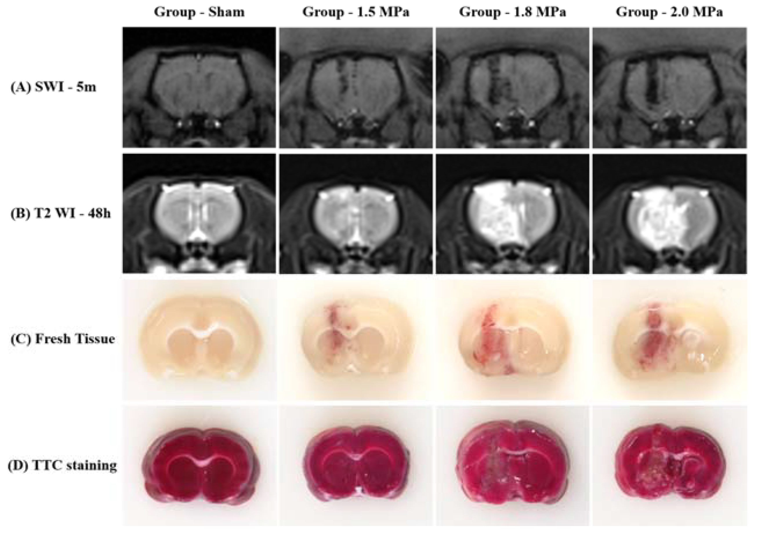 Medicina 58 00881 g002