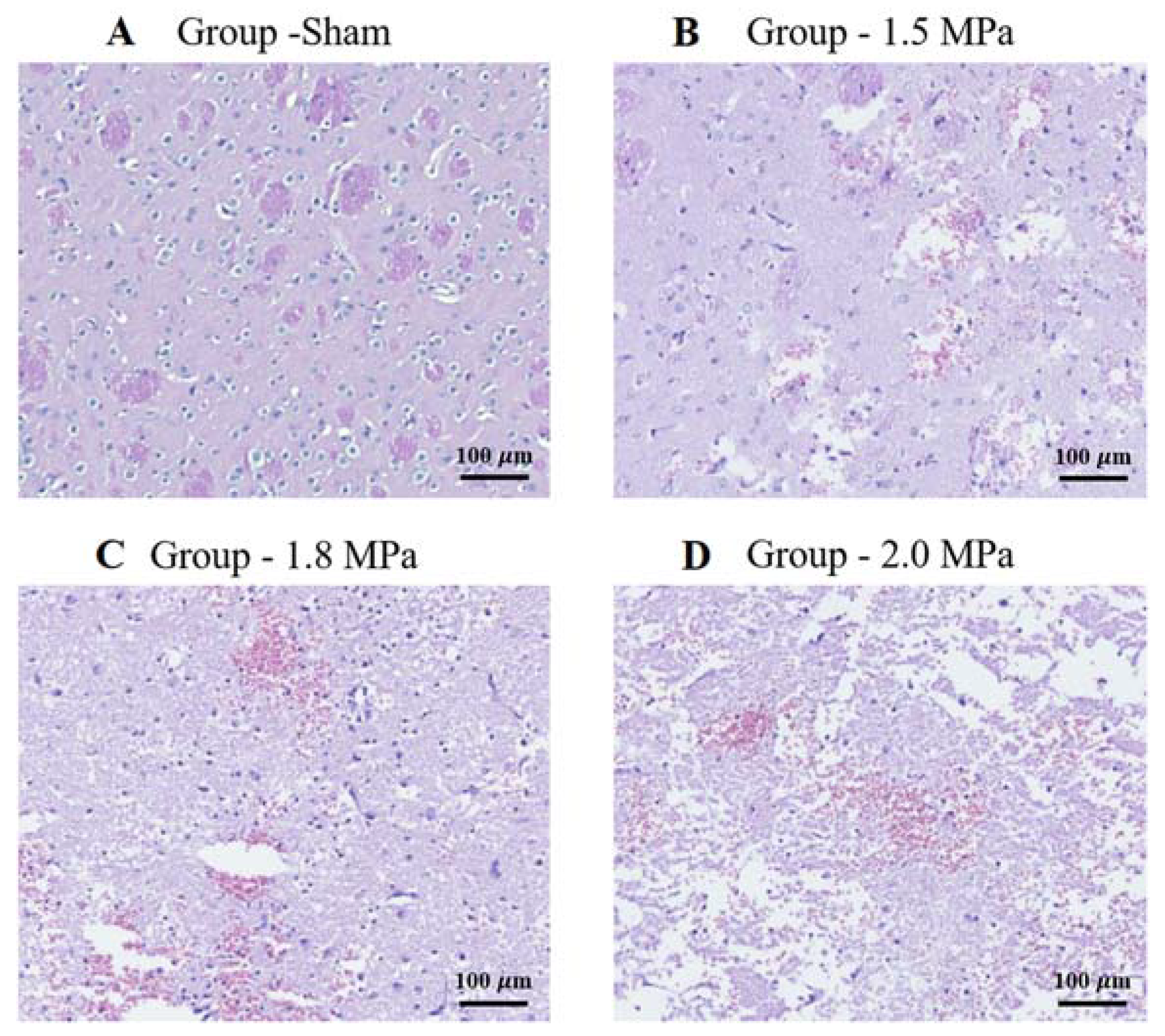 Medicina 58 00881 g005
