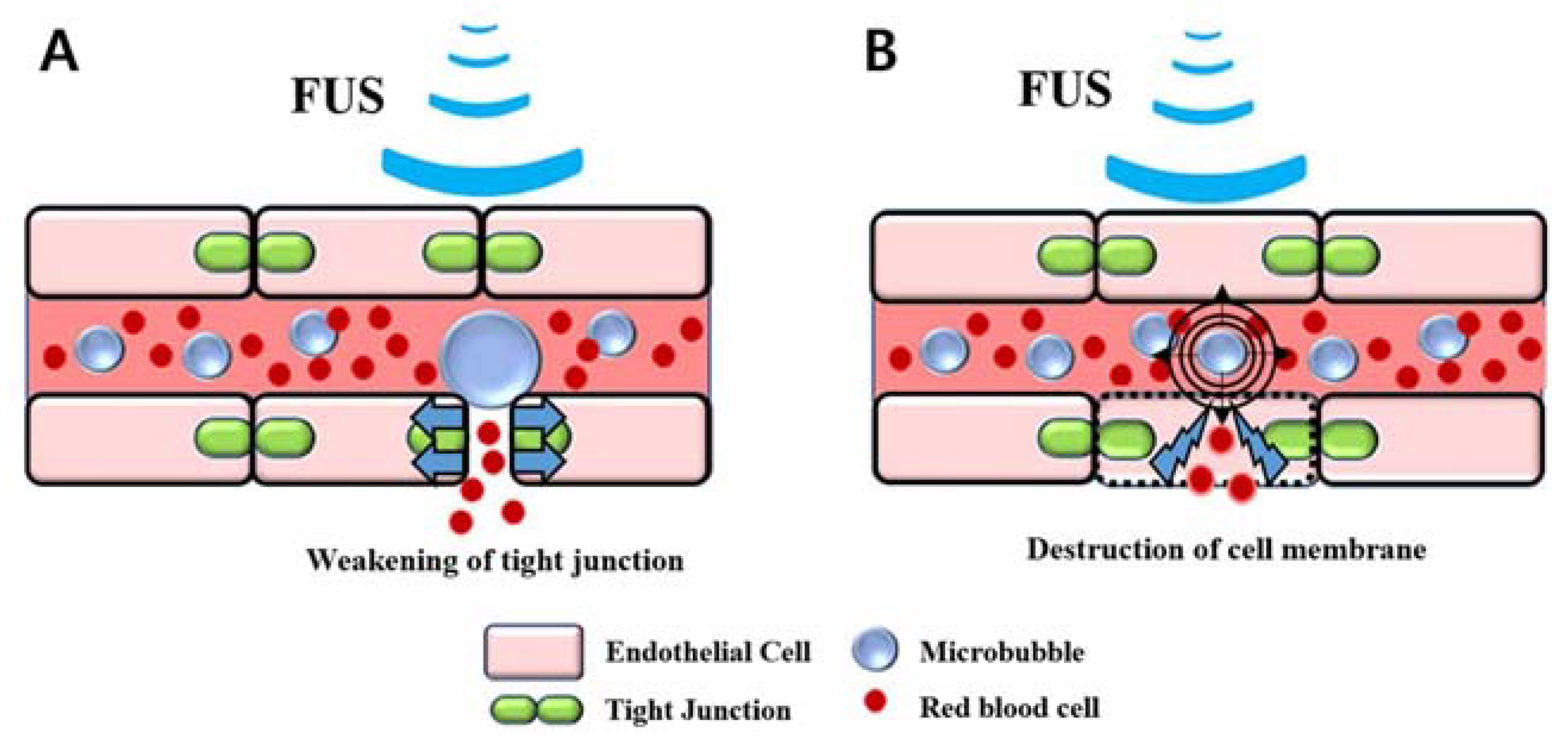 Medicina 58 00881 g006