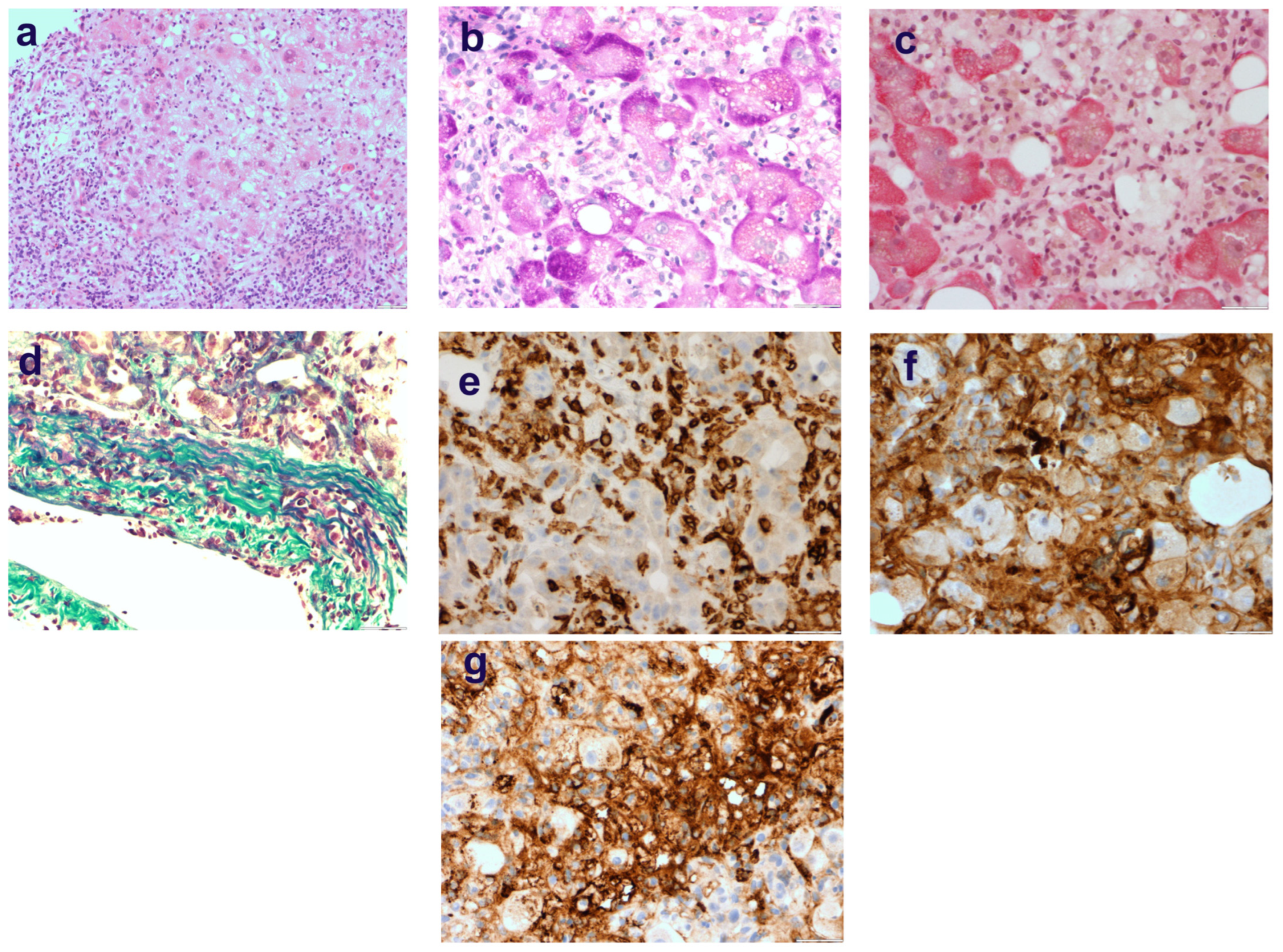 Medicina 58 00896 g0a2
