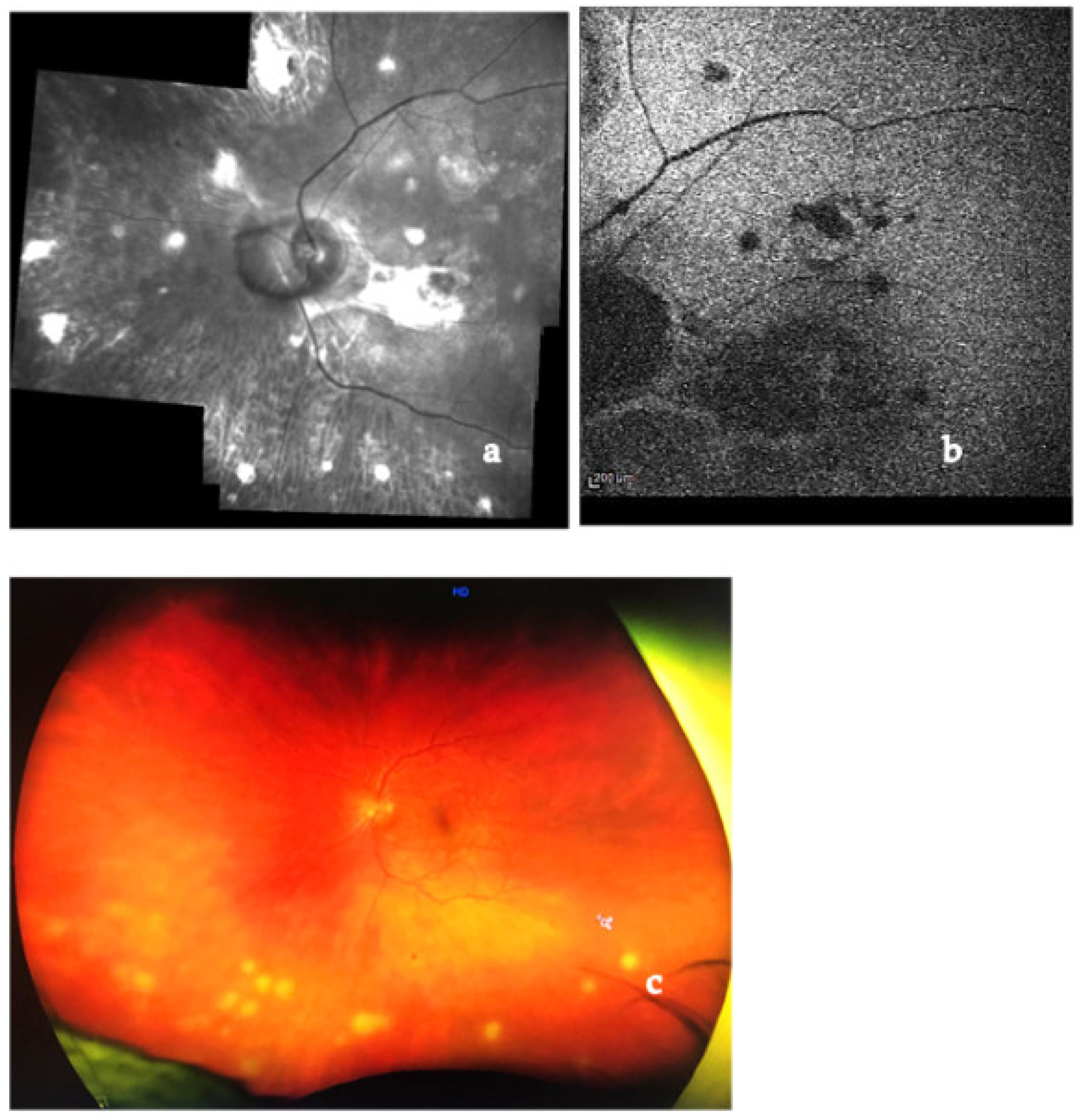 Medicina 58 00898 g007 Medicina 58 00898 g007