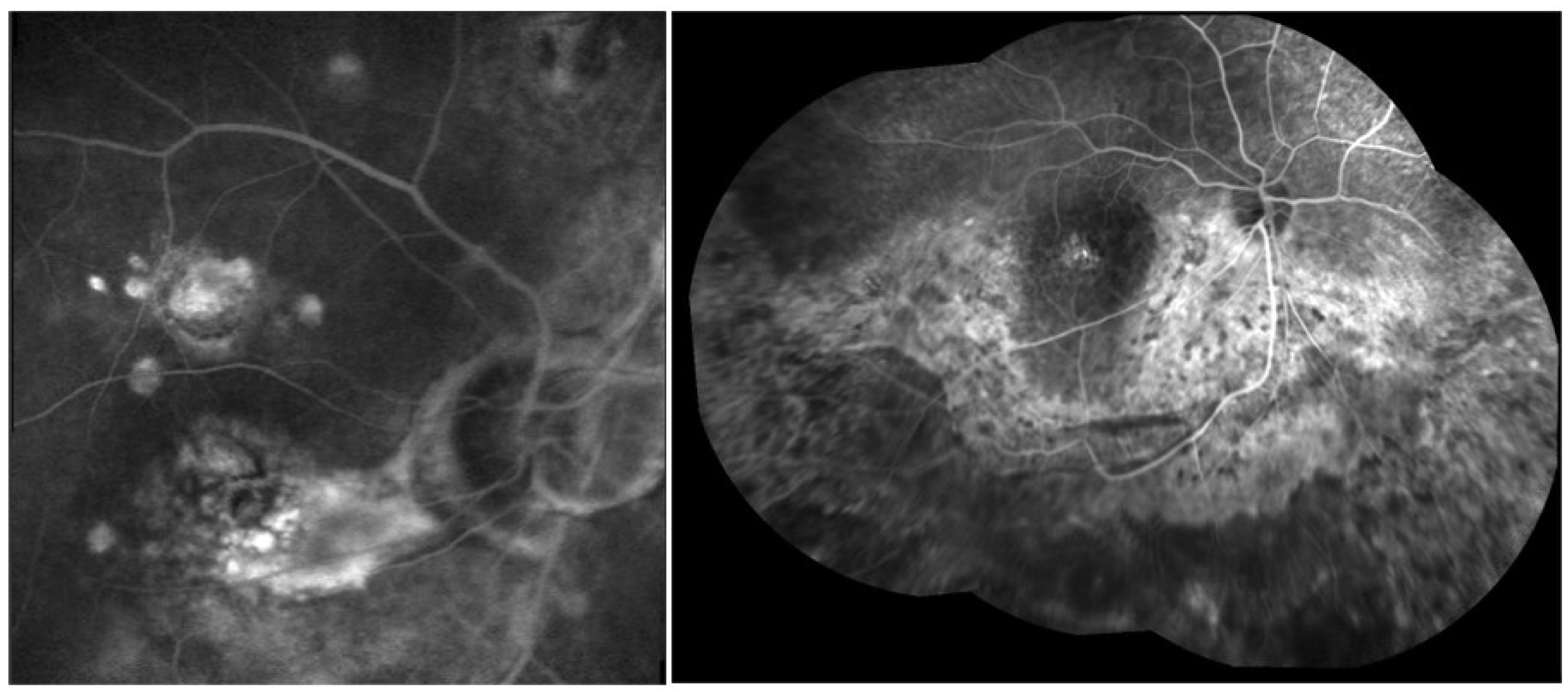 Medicina 58 00898 g008 Medicina 58 00898 g008