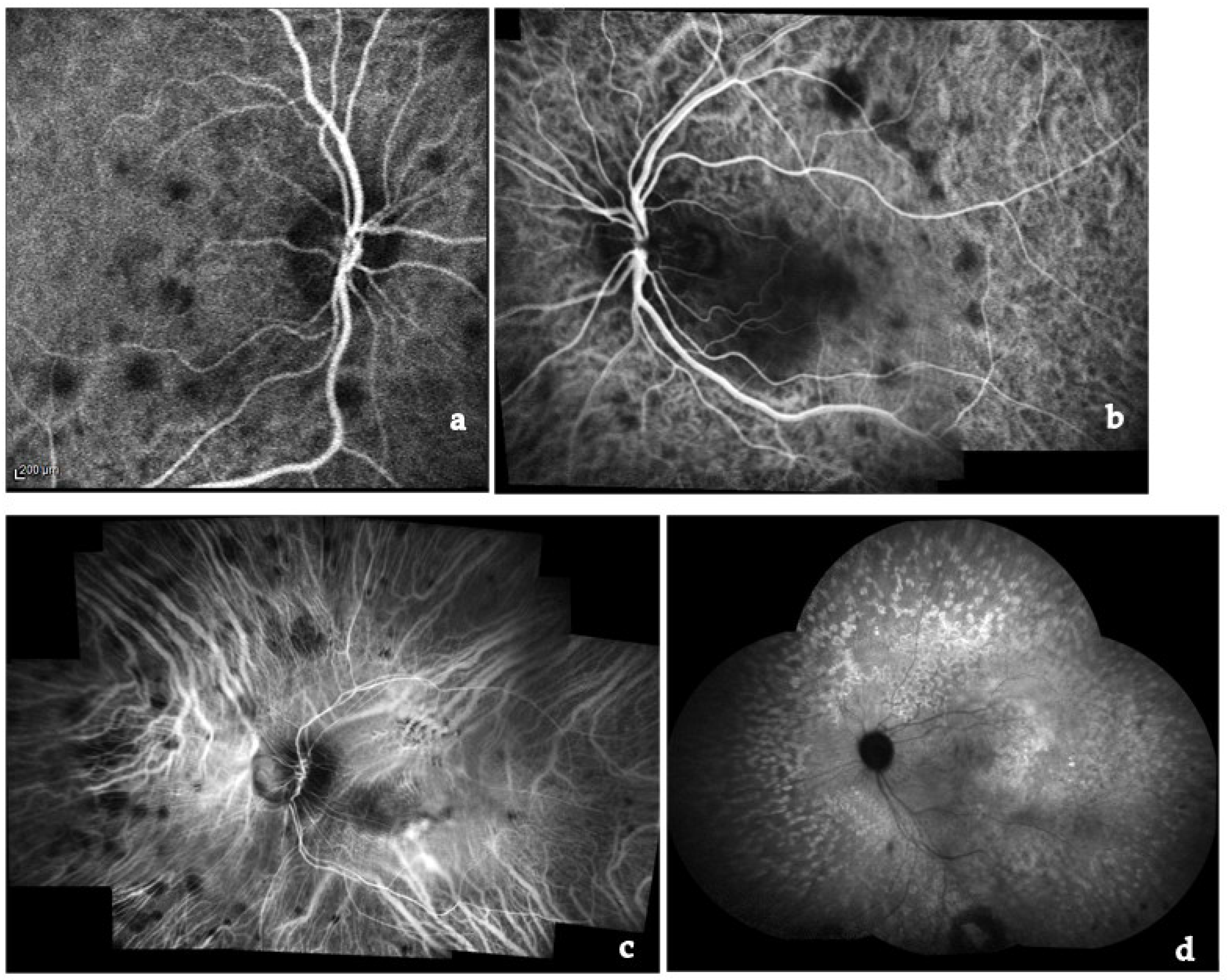 Medicina 58 00898 g009 Medicina 58 00898 g009