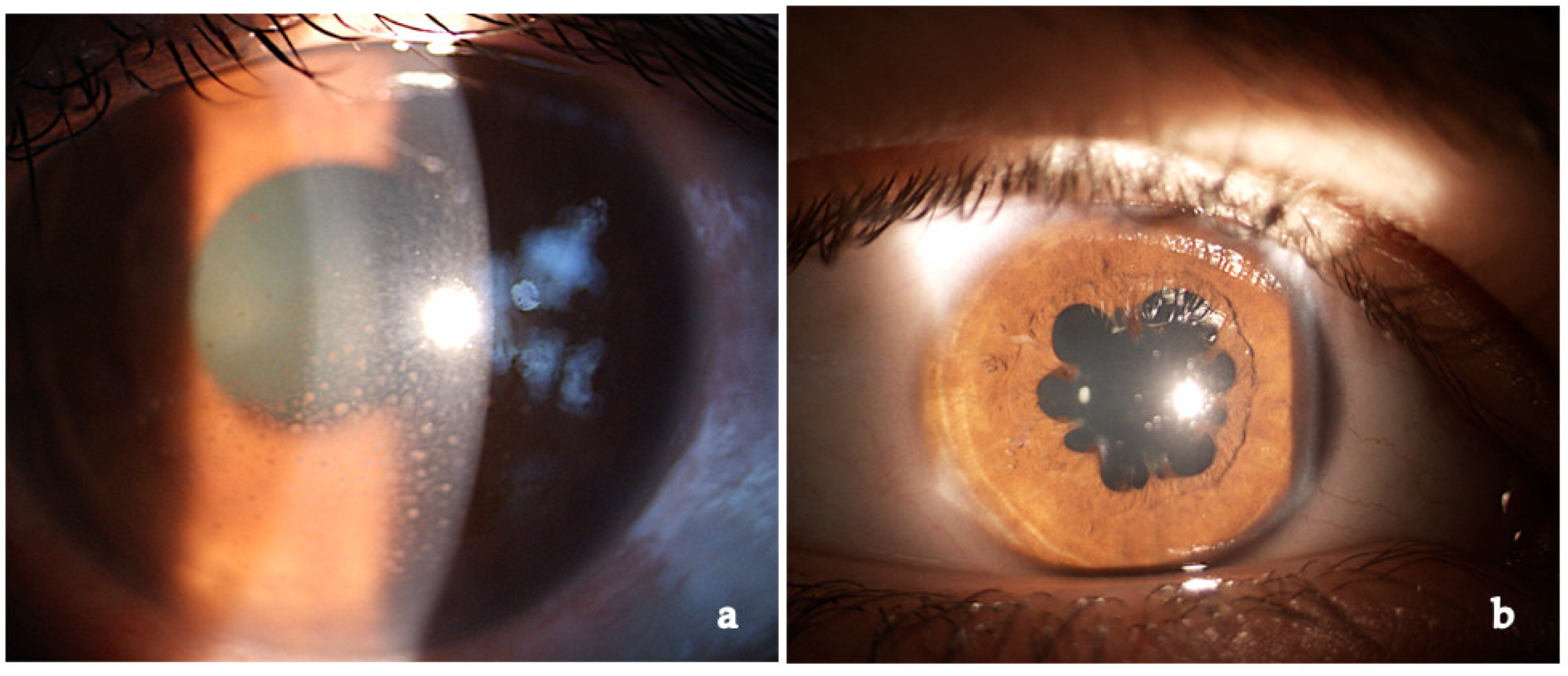 Medicina 58 00898 g014 Medicina 58 00898 g014