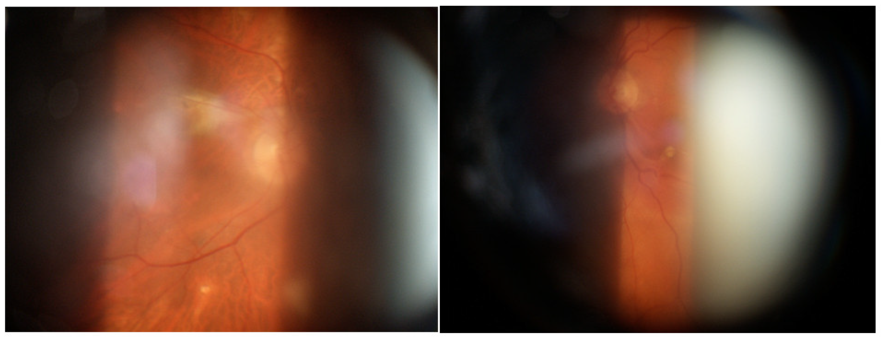 Medicina 58 00898 g016 Medicina 58 00898 g016